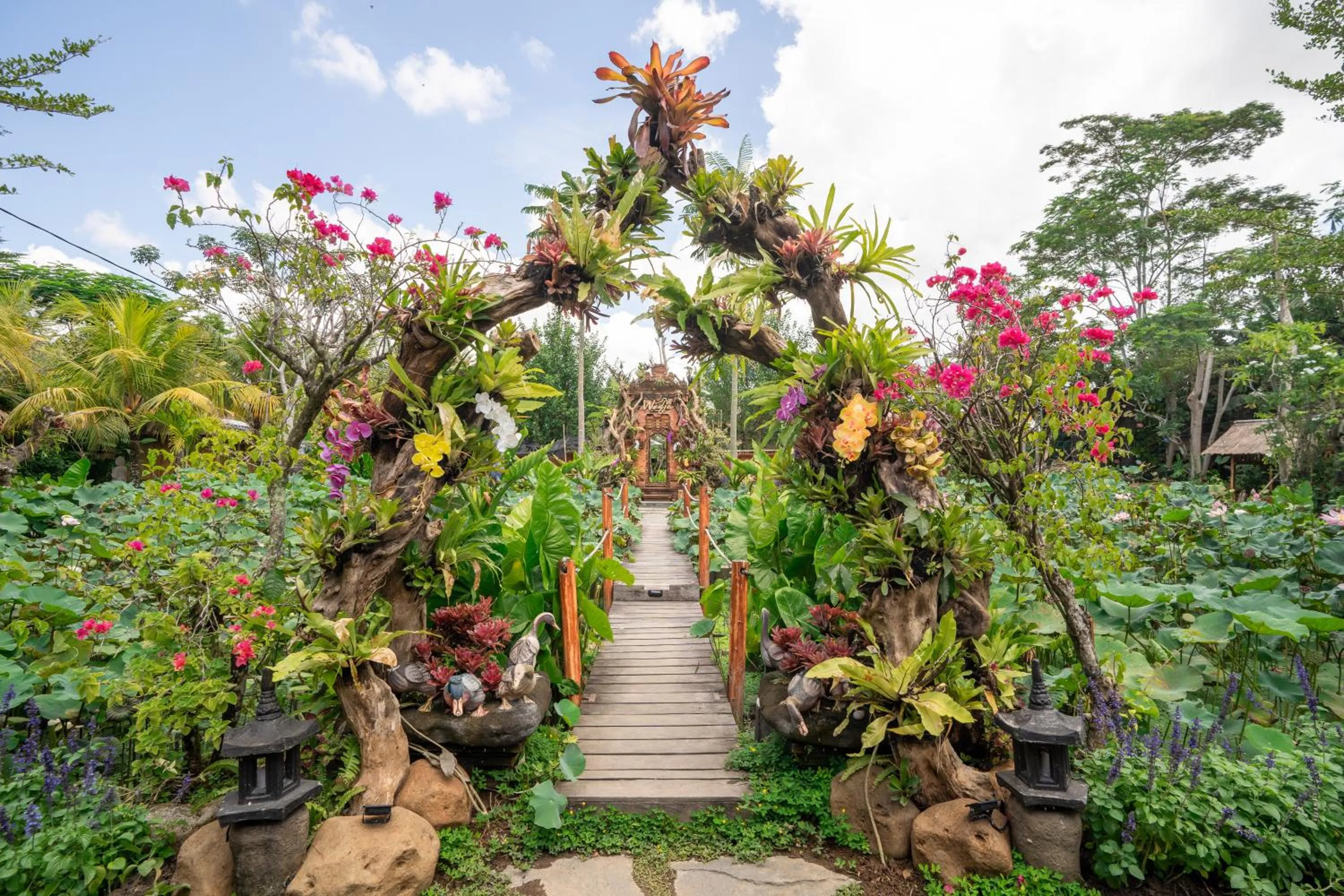 Natural landscape in Ubud Art Resort