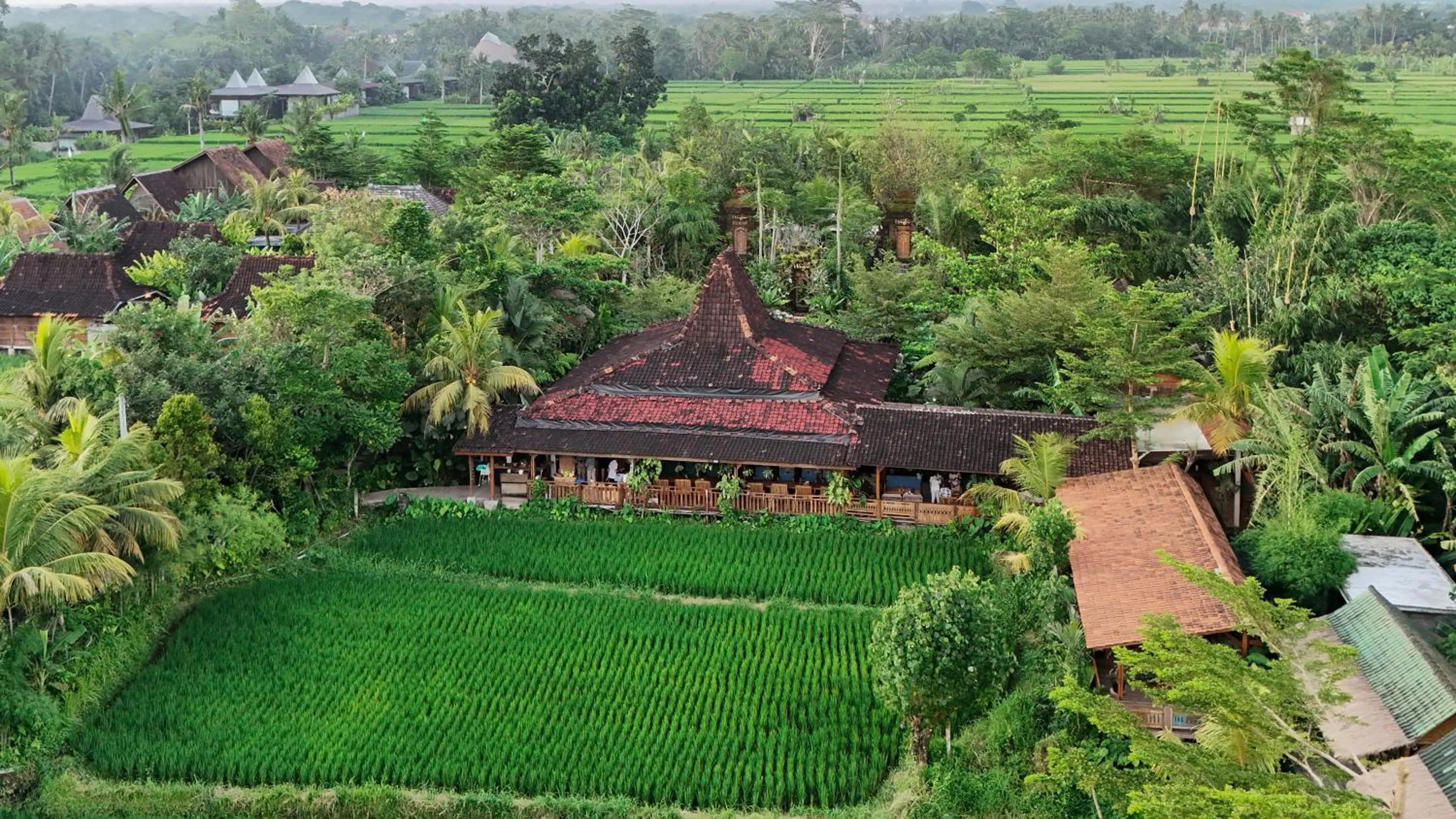 Ubud Art Resort