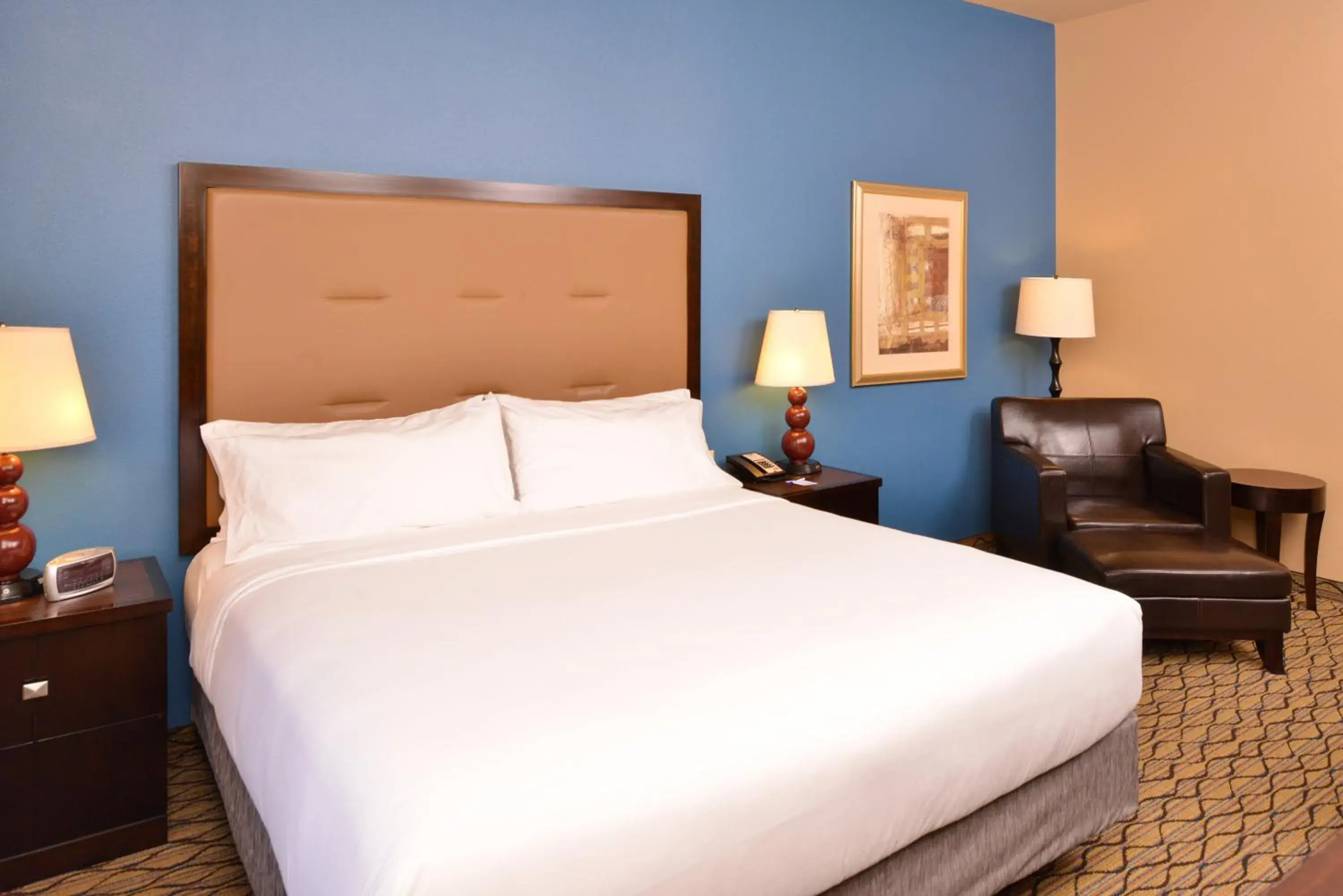 King Room - Disability Access in Holiday Inn Express & Suites Wichita Falls by IHG King Room - Disability Access in Holiday Inn Express & Suites Wichita Falls by IHG