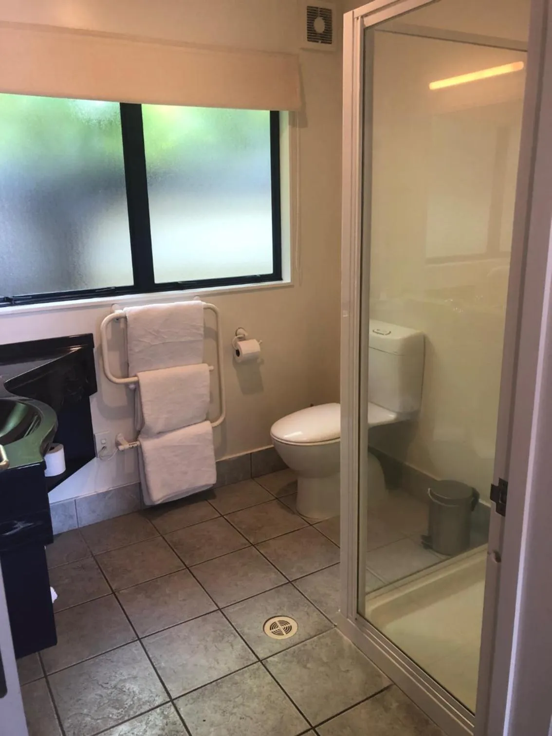 Toilet in Claremonte Motor Lodge