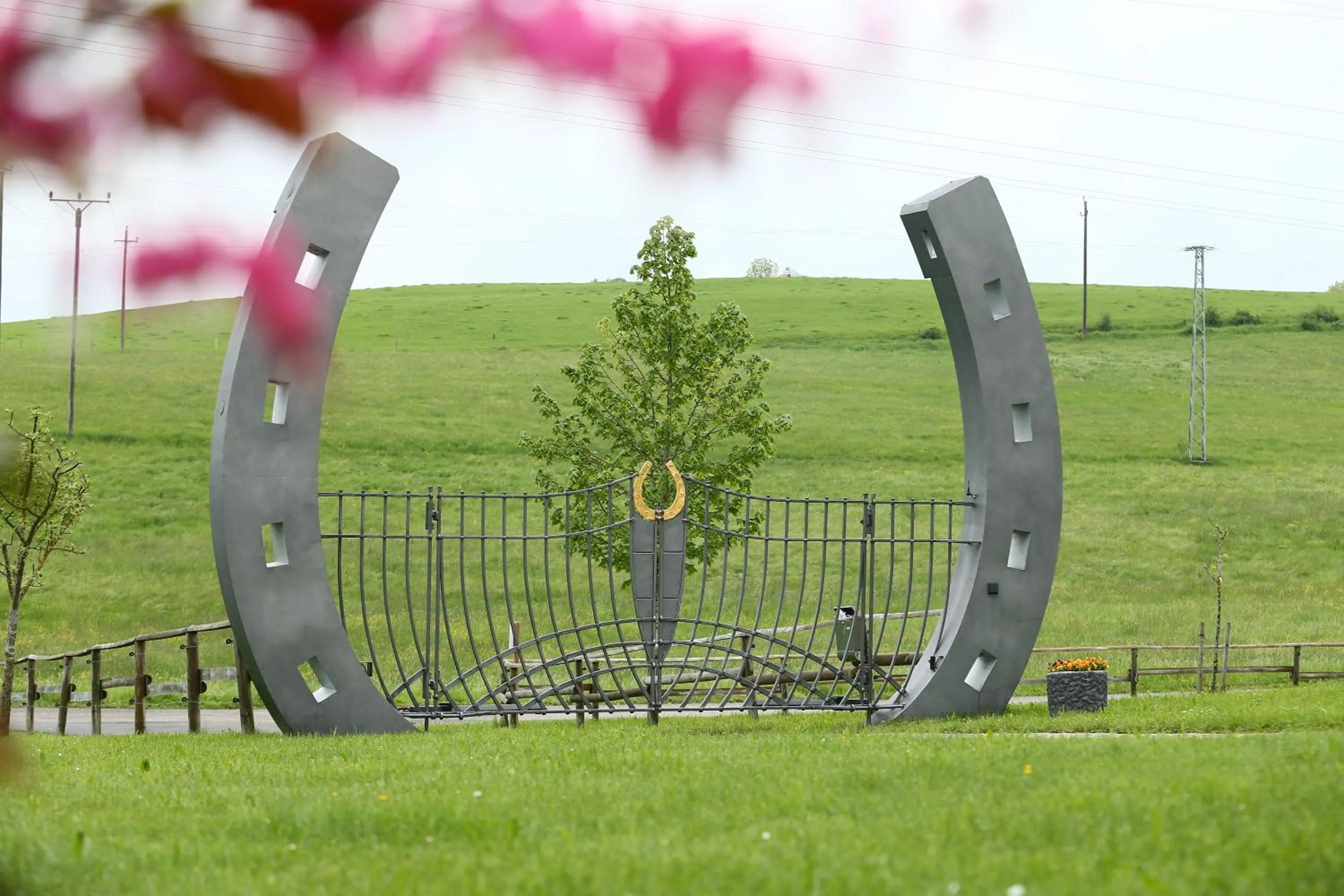 Summer in Allgäu Meadow Ranch