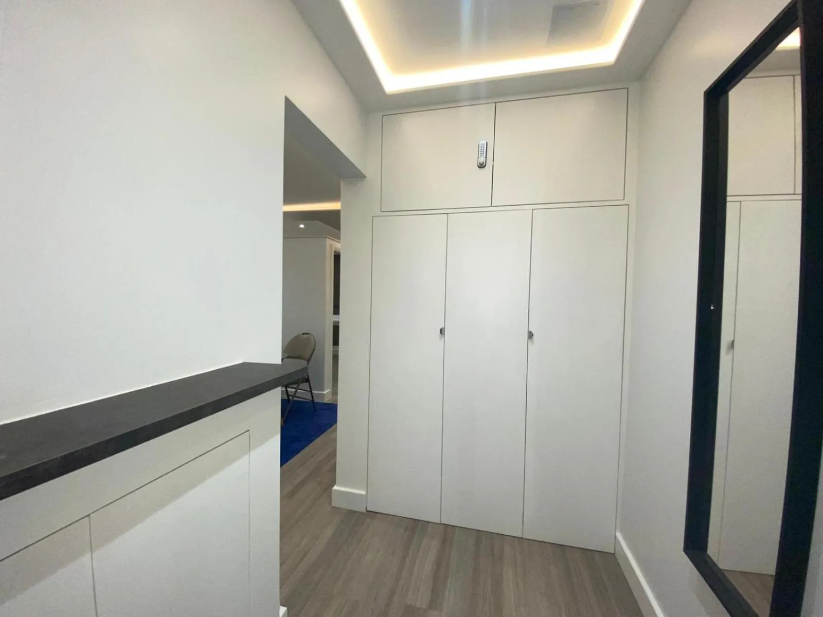 Other in MSK Premium