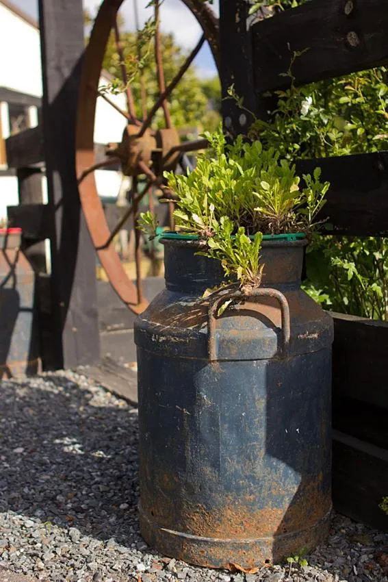 Day in Cambridge Coach House