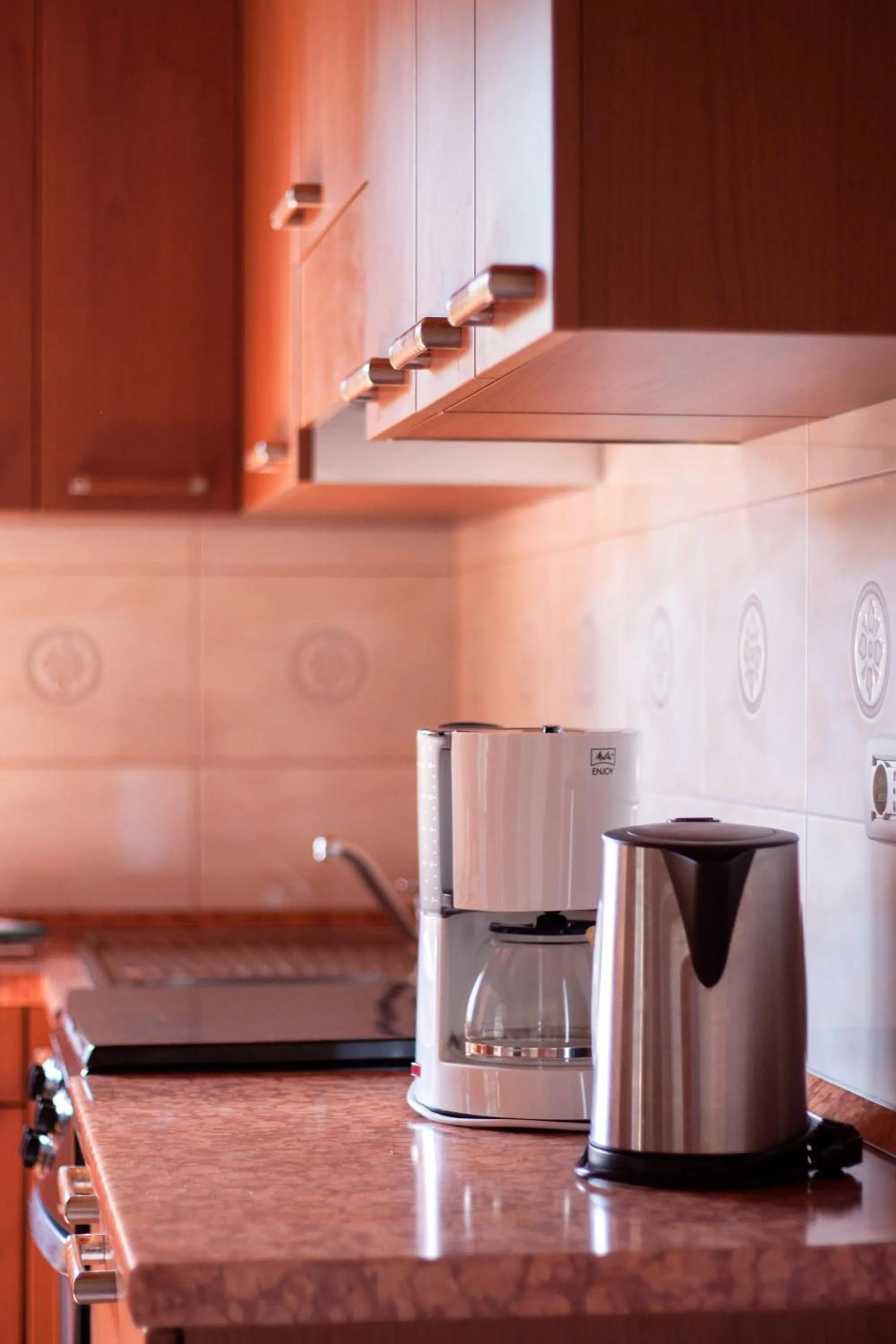 Kitchen or kitchenette in Apartments Ivan & Tina