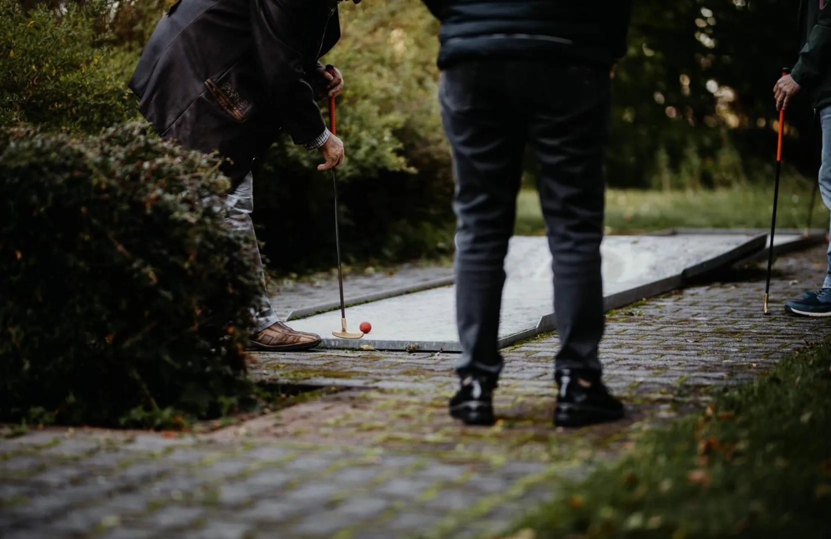 Natural landscape in Sonnenhotel Hoher Hahn
