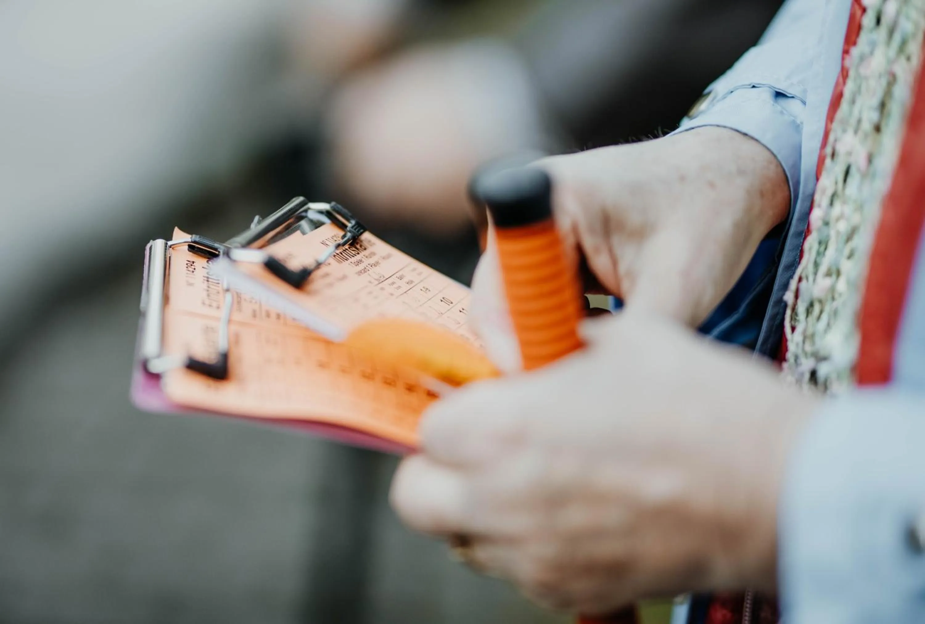 Activities in Sonnenhotel Hoher Hahn