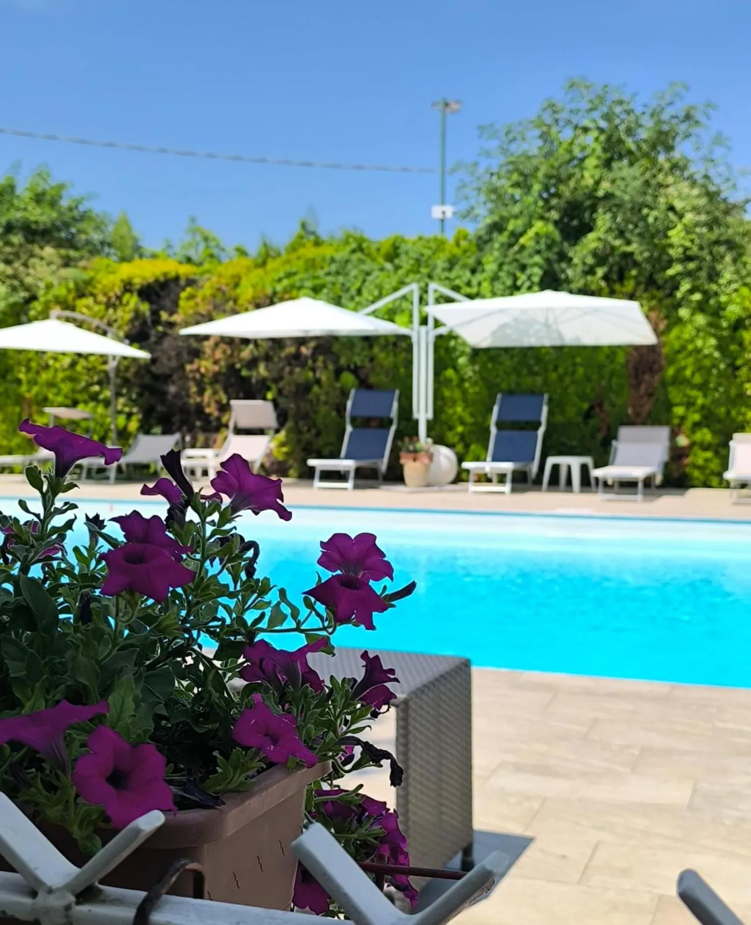 Swimming pool in Albergo Zoello Je Suis
