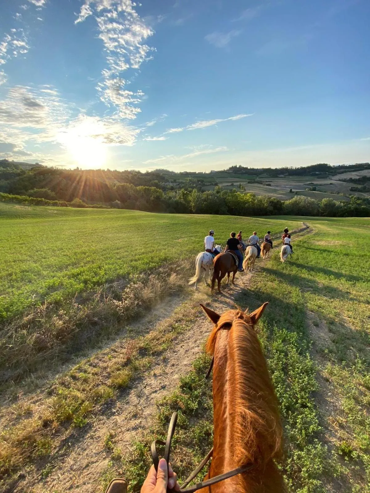Horse-riding, Horseback Riding in Hotel Clementi