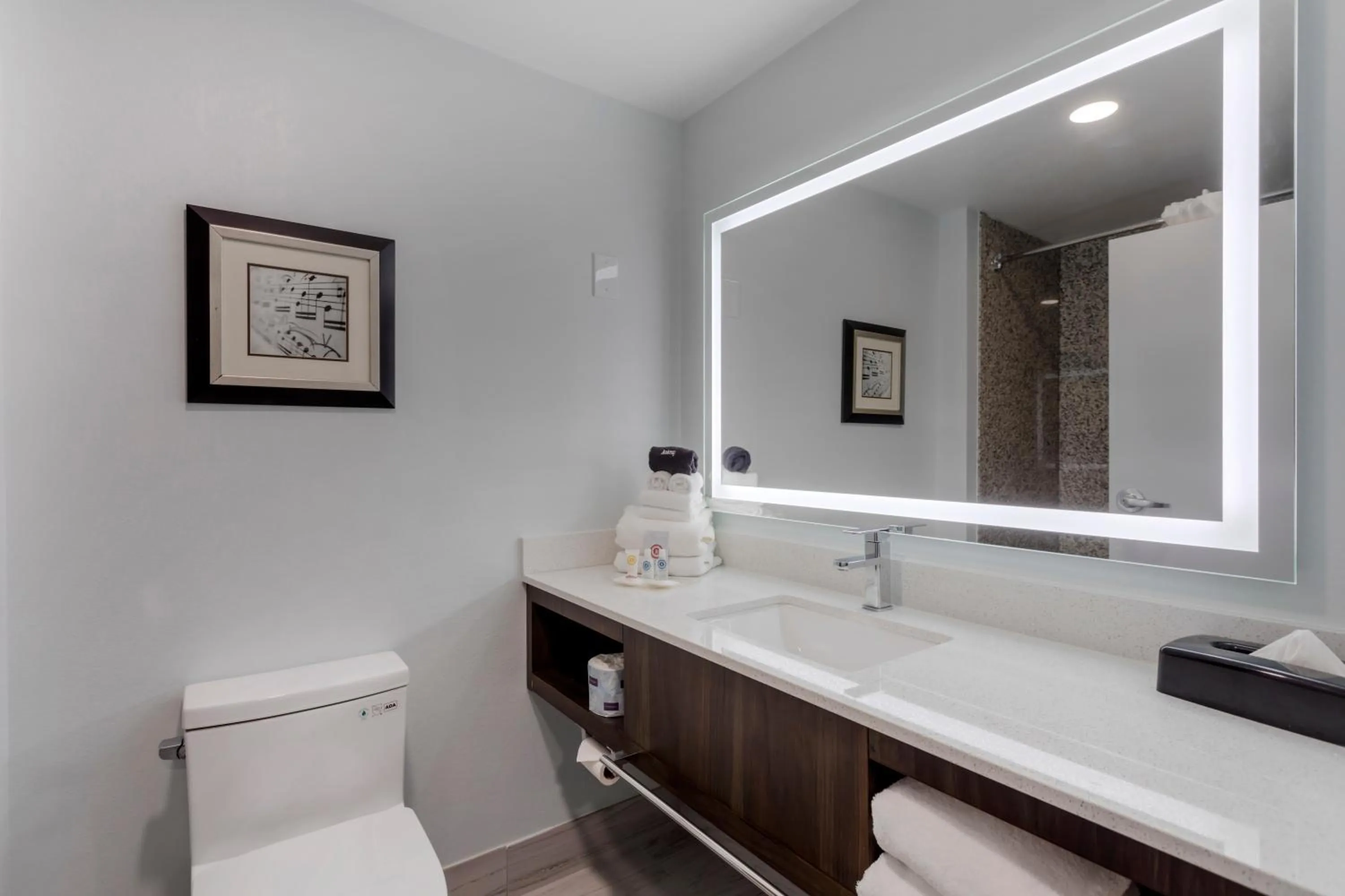 Toilet in Comfort Suites Mt Juliet-Nashville Area