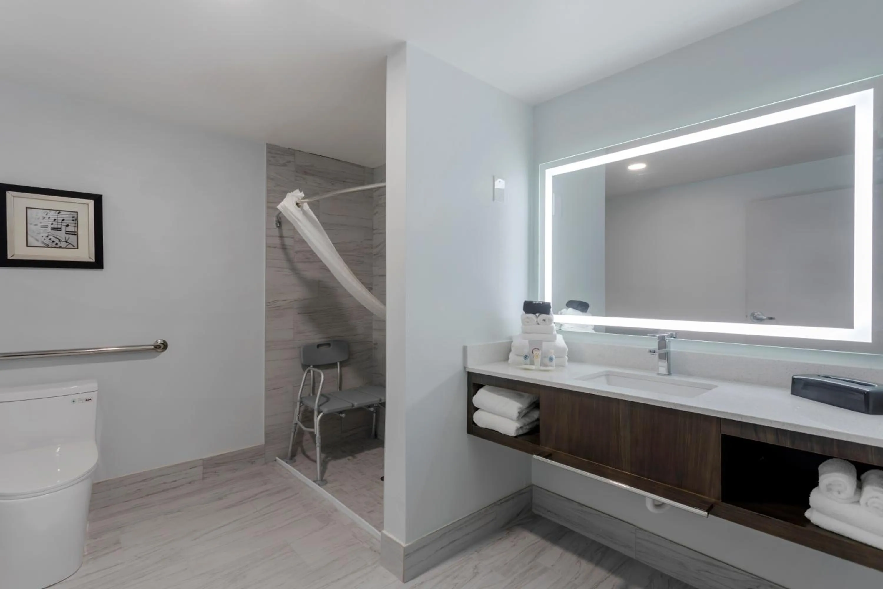 Toilet in Comfort Suites Mt Juliet-Nashville Area