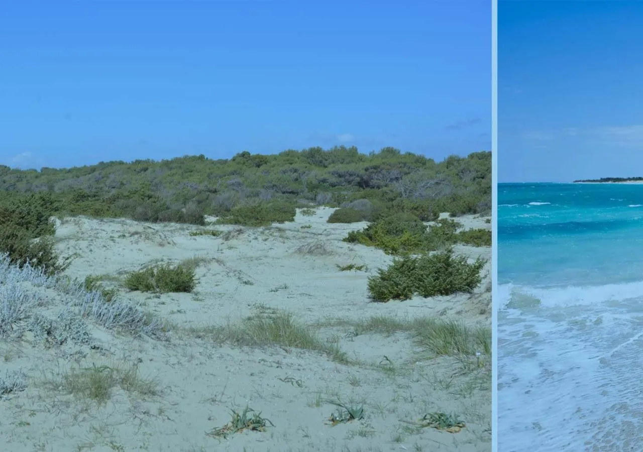 Location in Blue And Blue City