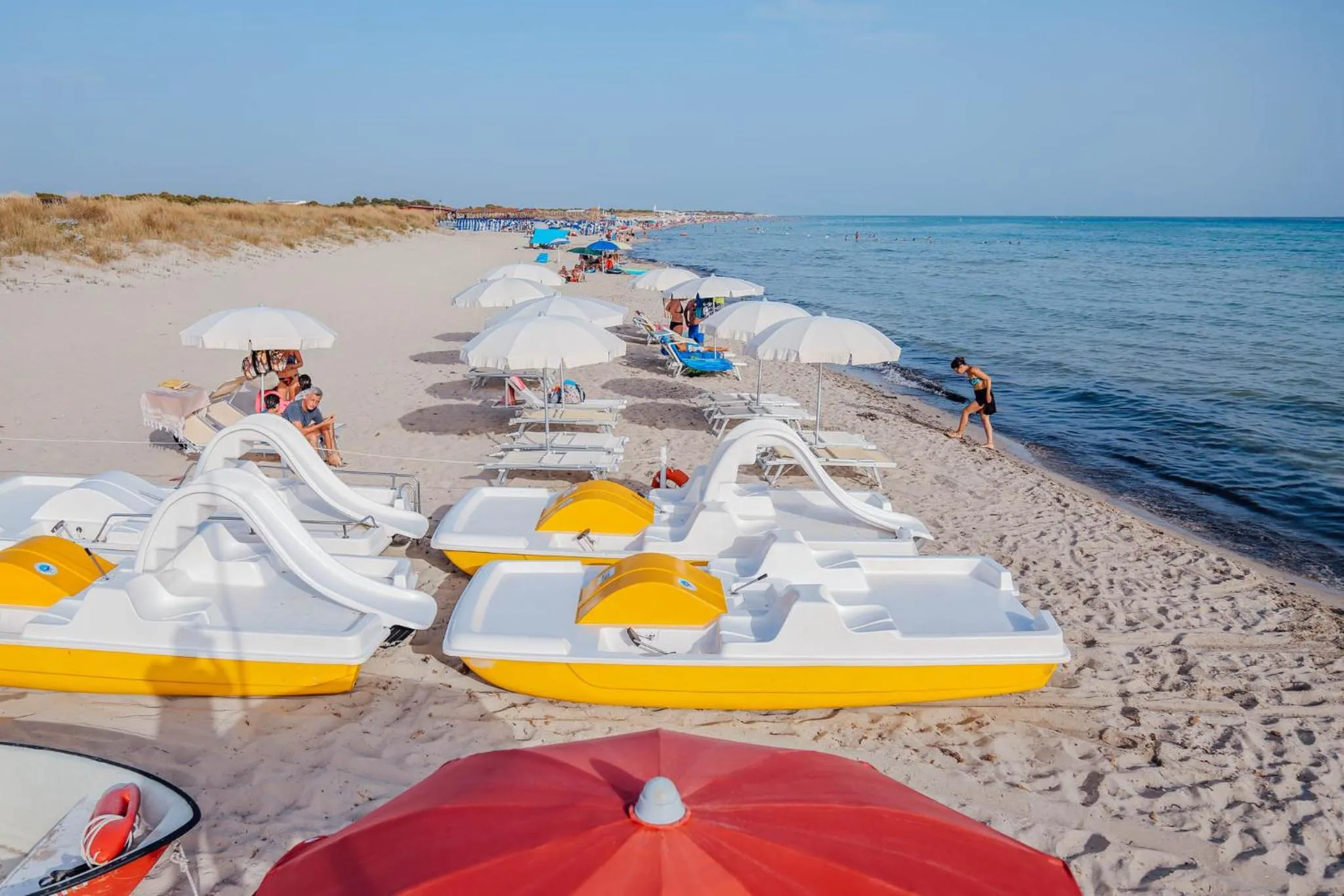 Sports in Blue And Blue City