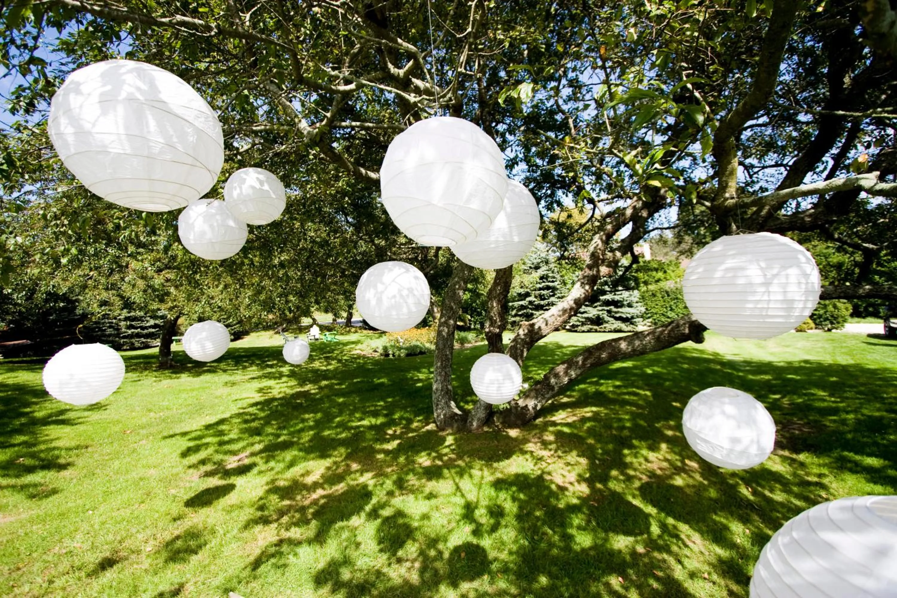 Garden in Sole East Resort