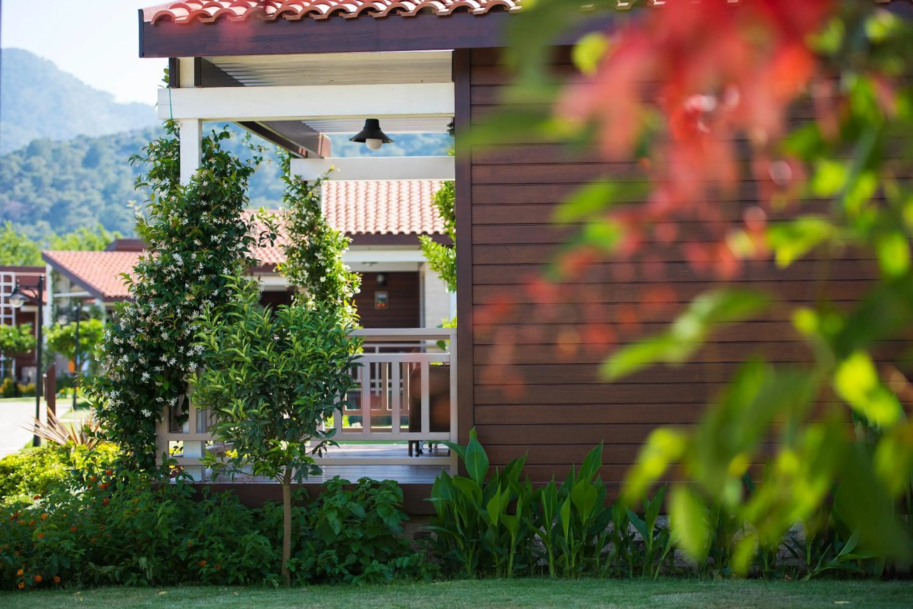 Summer in Kimera Lounge Boutique Hotel & Spa