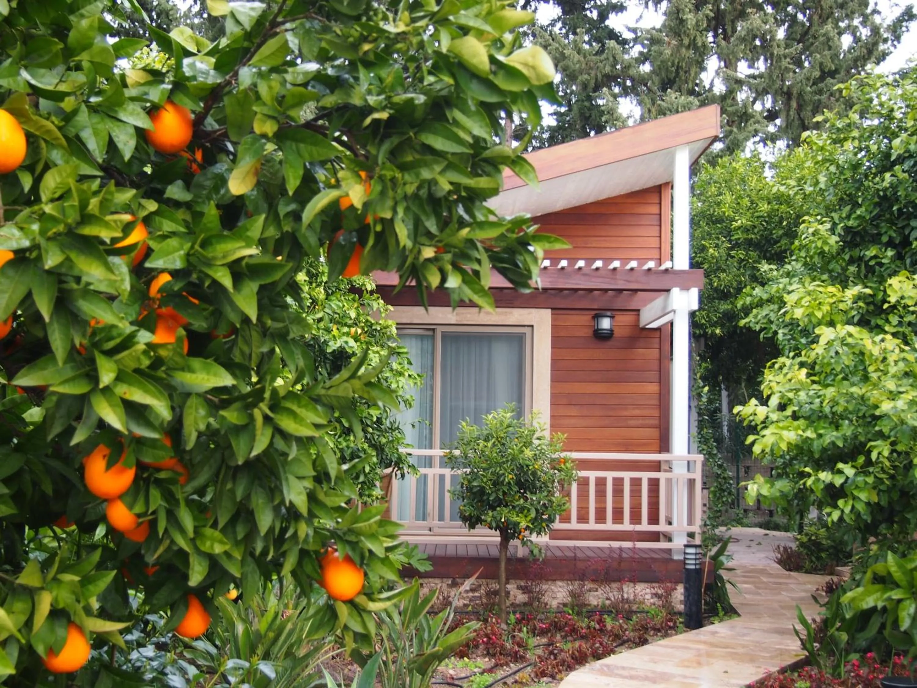 Day in Kimera Lounge Boutique Hotel & Spa