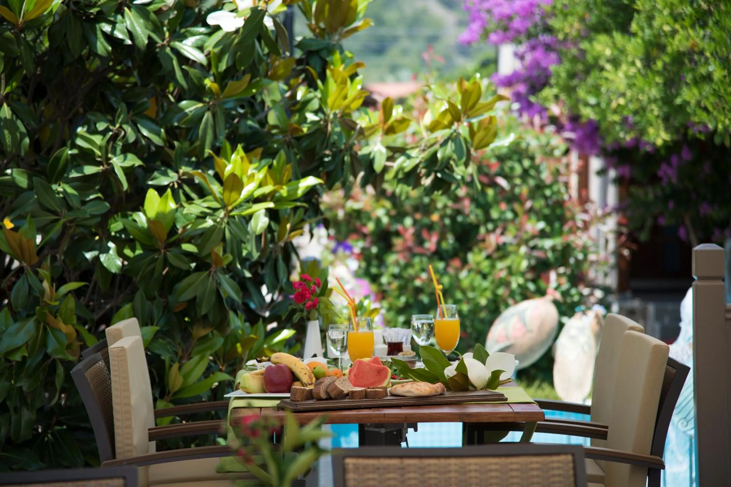 Garden in Kimera Lounge Boutique Hotel & Spa