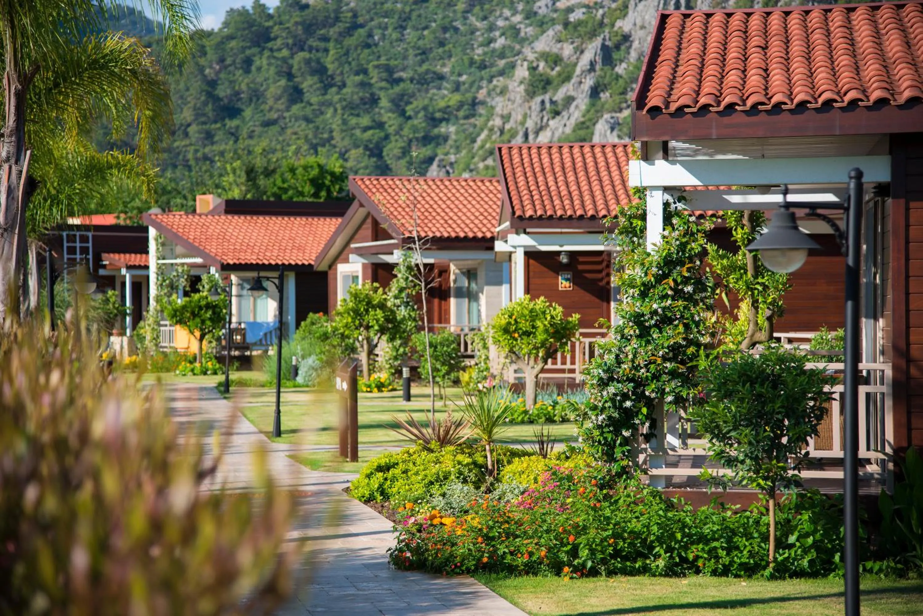 Summer in Kimera Lounge Boutique Hotel & Spa