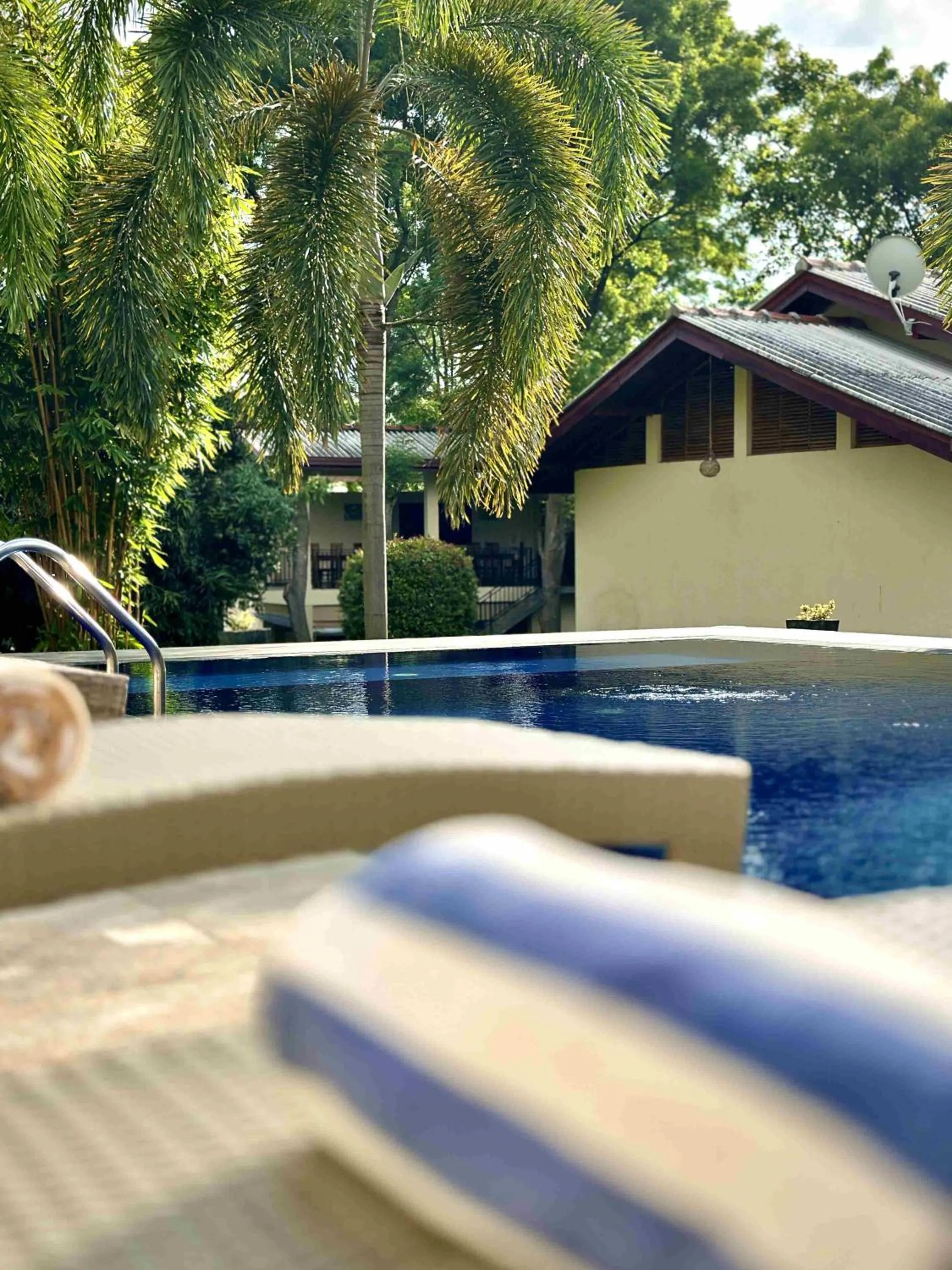 Swimming pool in Jungle Paradise
