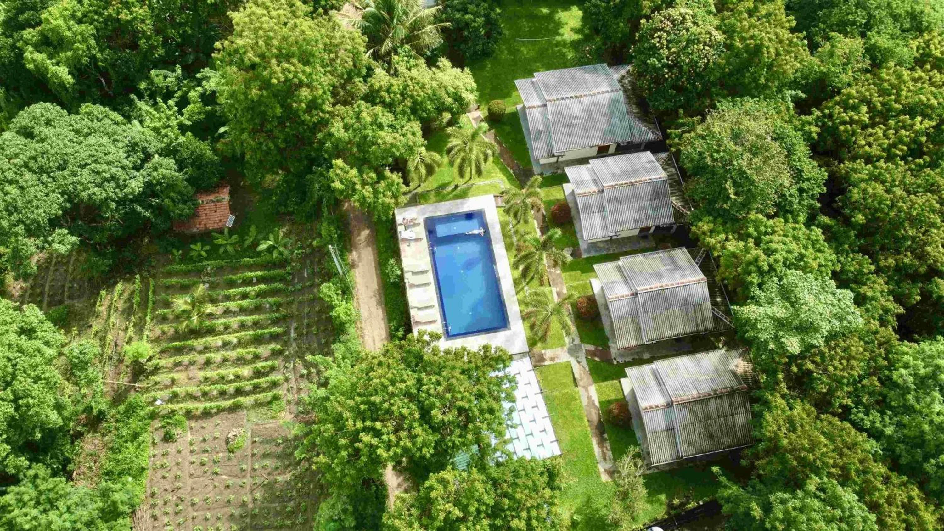 Swimming pool in Jungle Paradise
