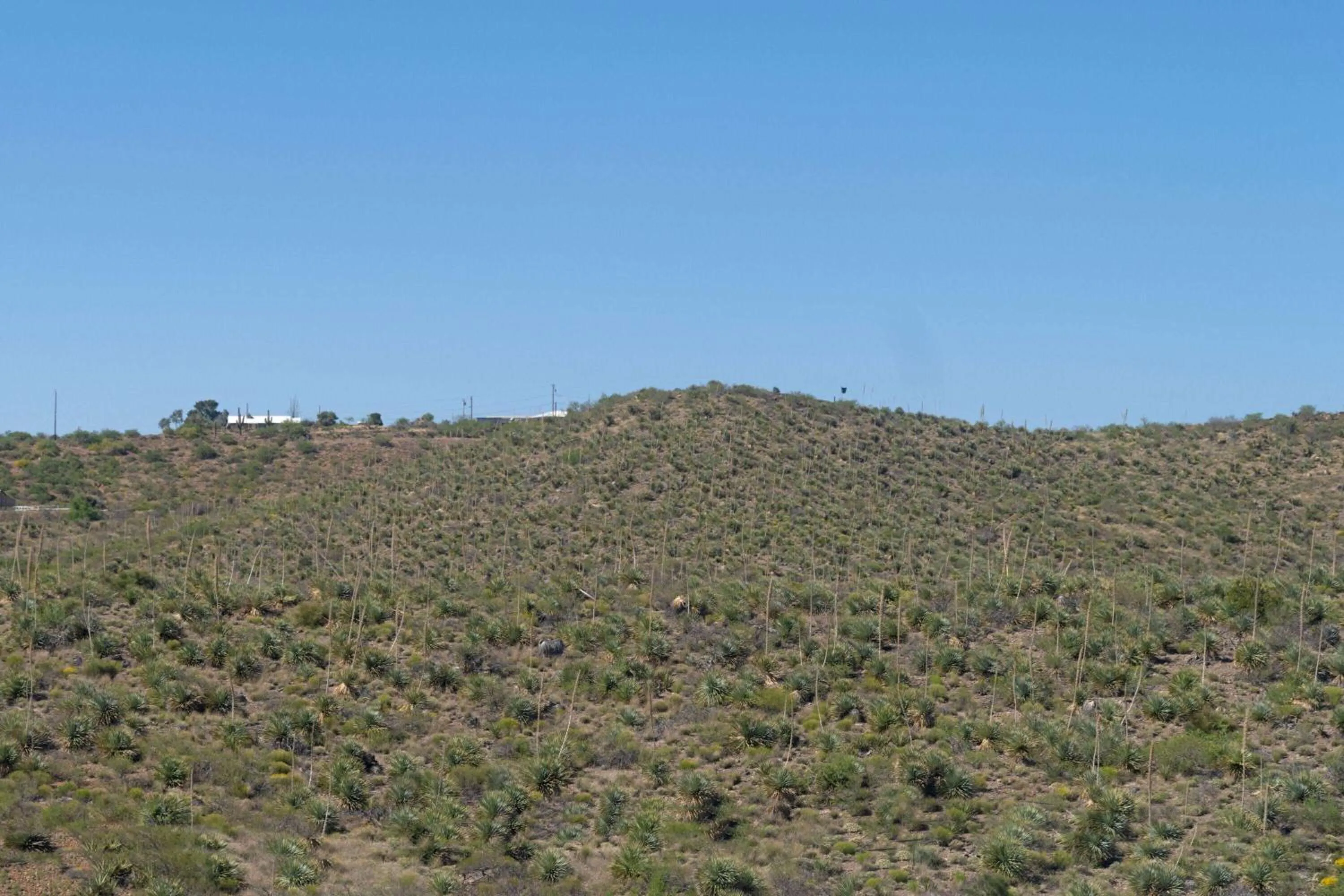 Property building in Travelodge by Wyndham Globe AZ