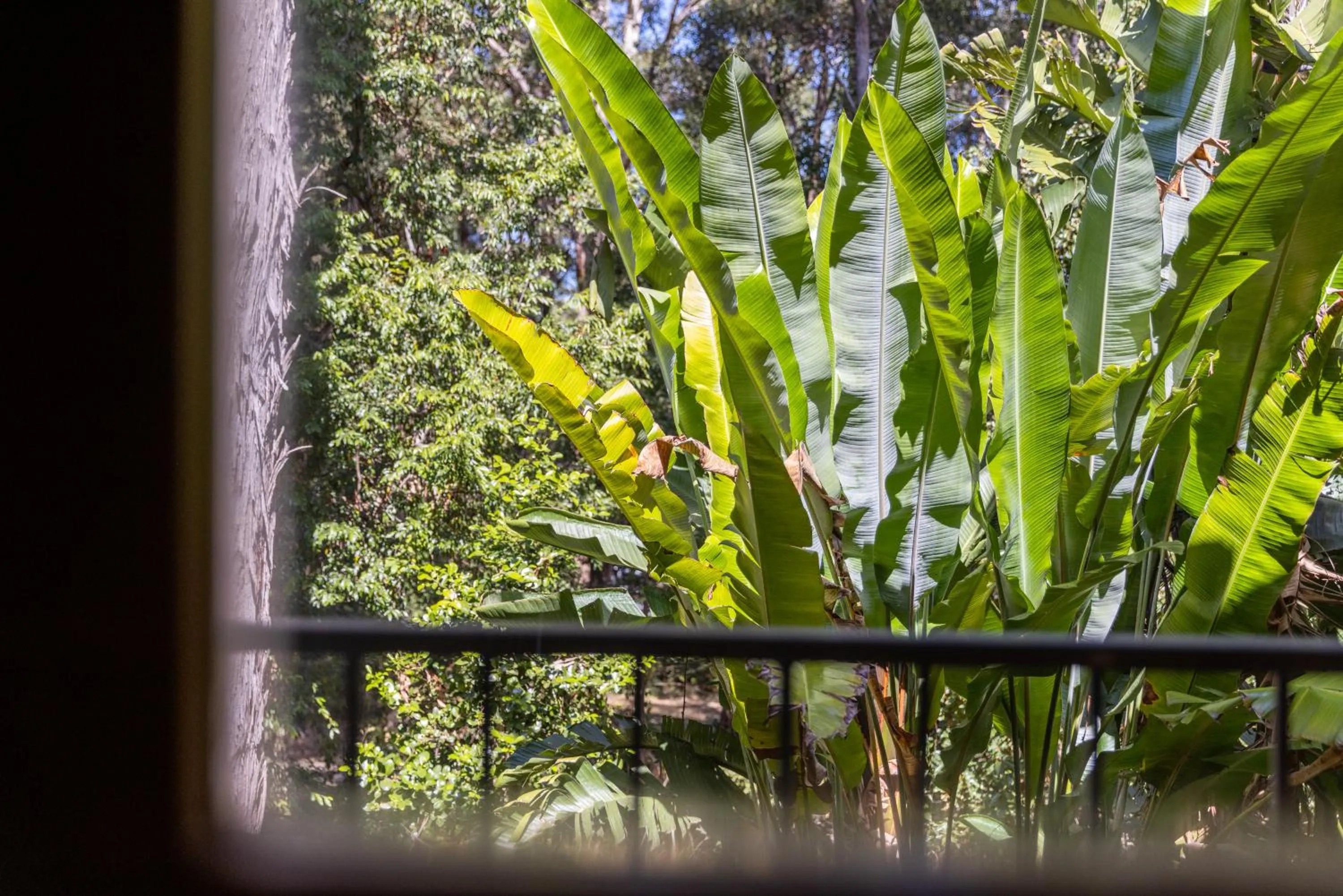 View (from property/room) in Sanctuary Resort Motor Inn