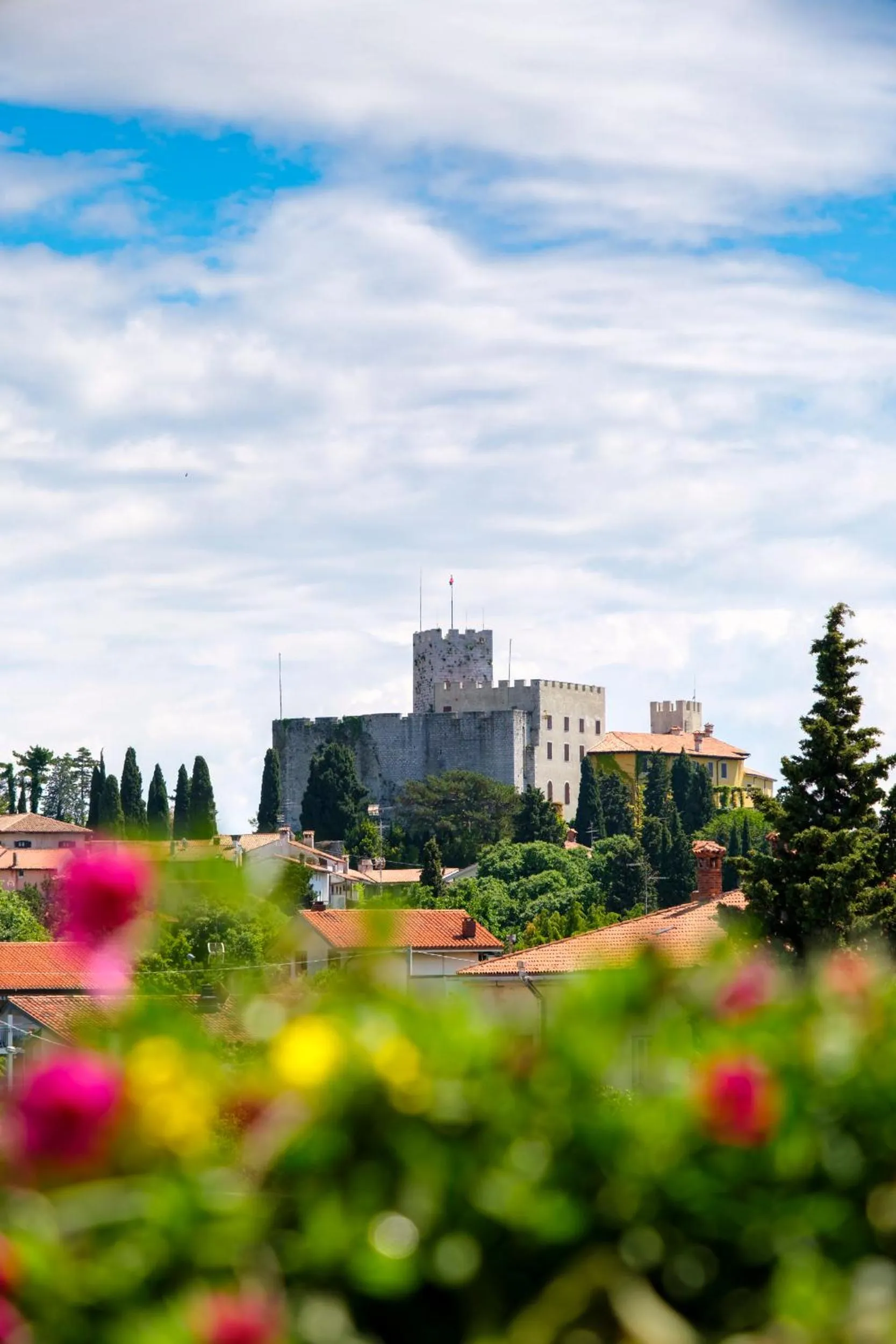 Garden view in Villa Borgo Duino