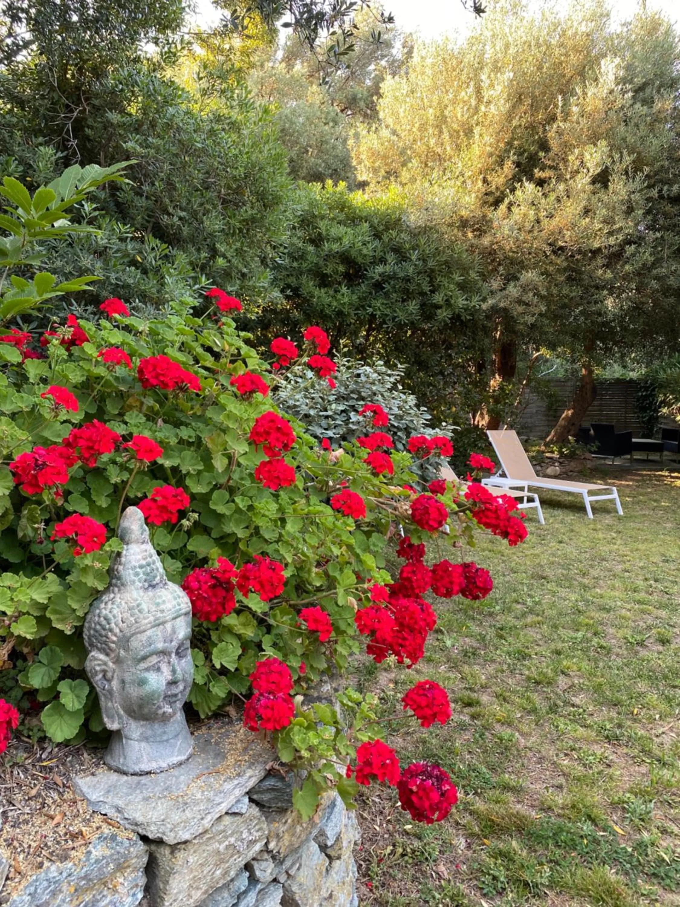 Garden in U Sant'Agnellu