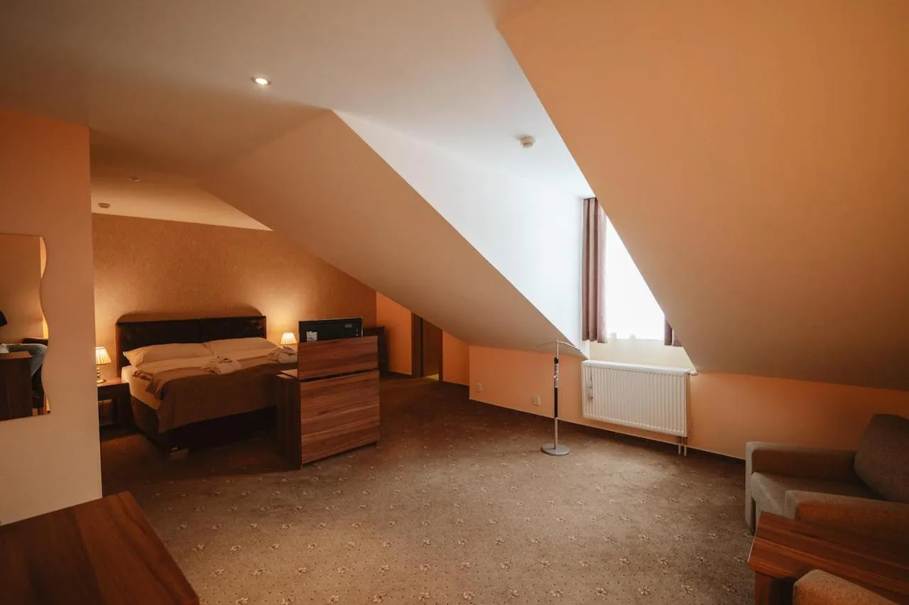 Photo of the whole room, Bed in Hotel Solisko