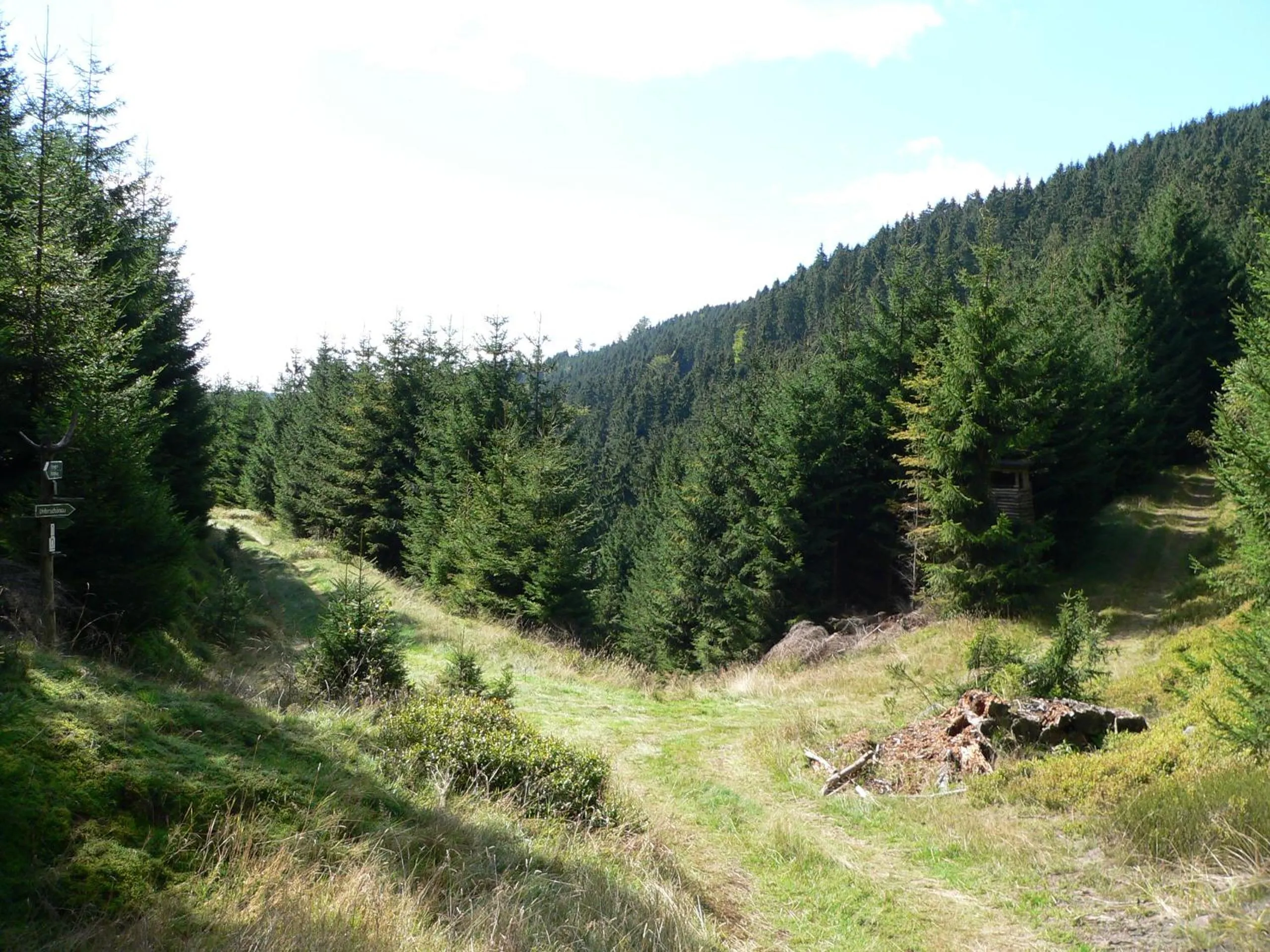 Off site in Gasthaus&Pension "Grünes Herz"