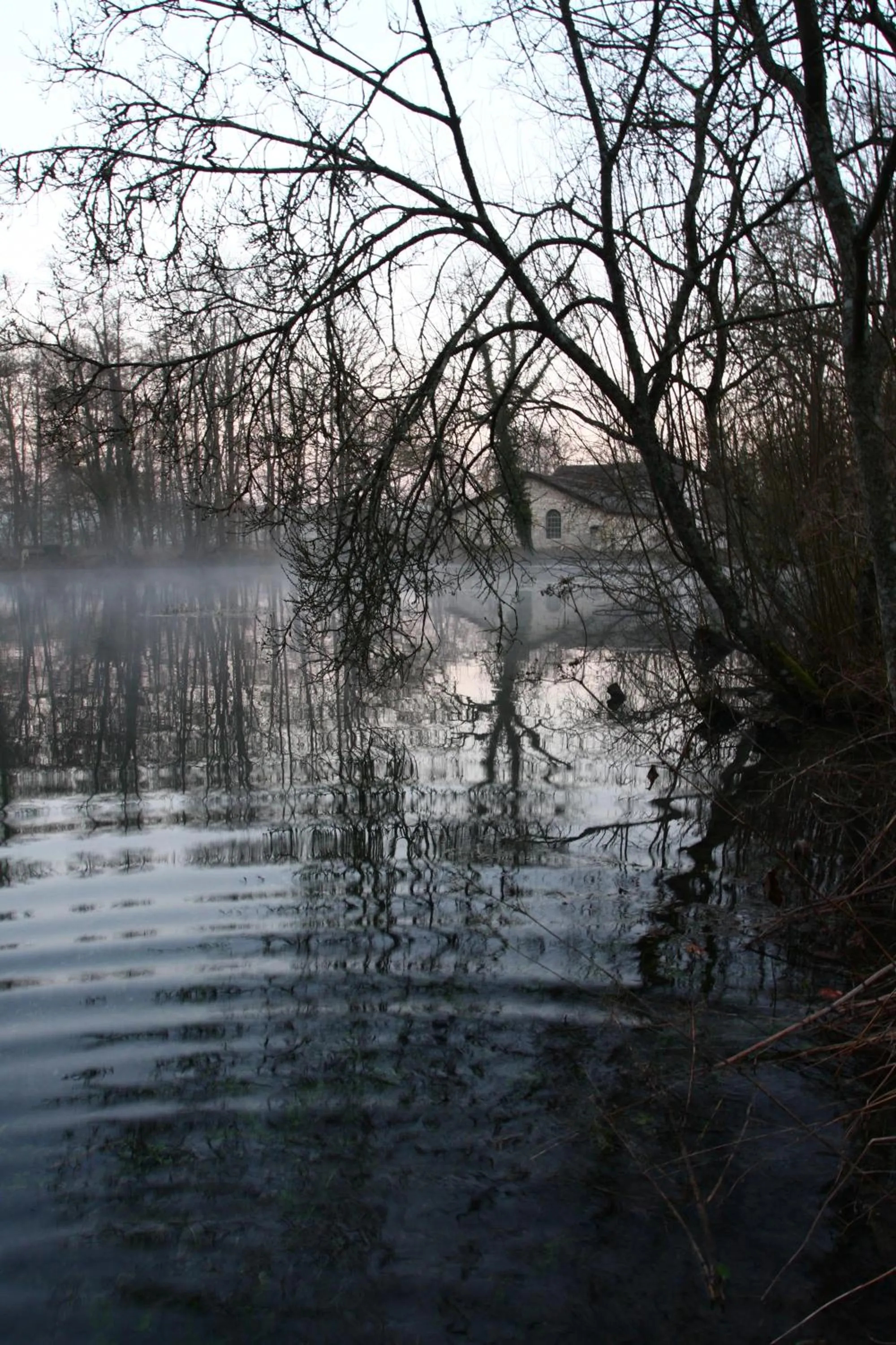 Area and facilities in Logis La Source Bleue