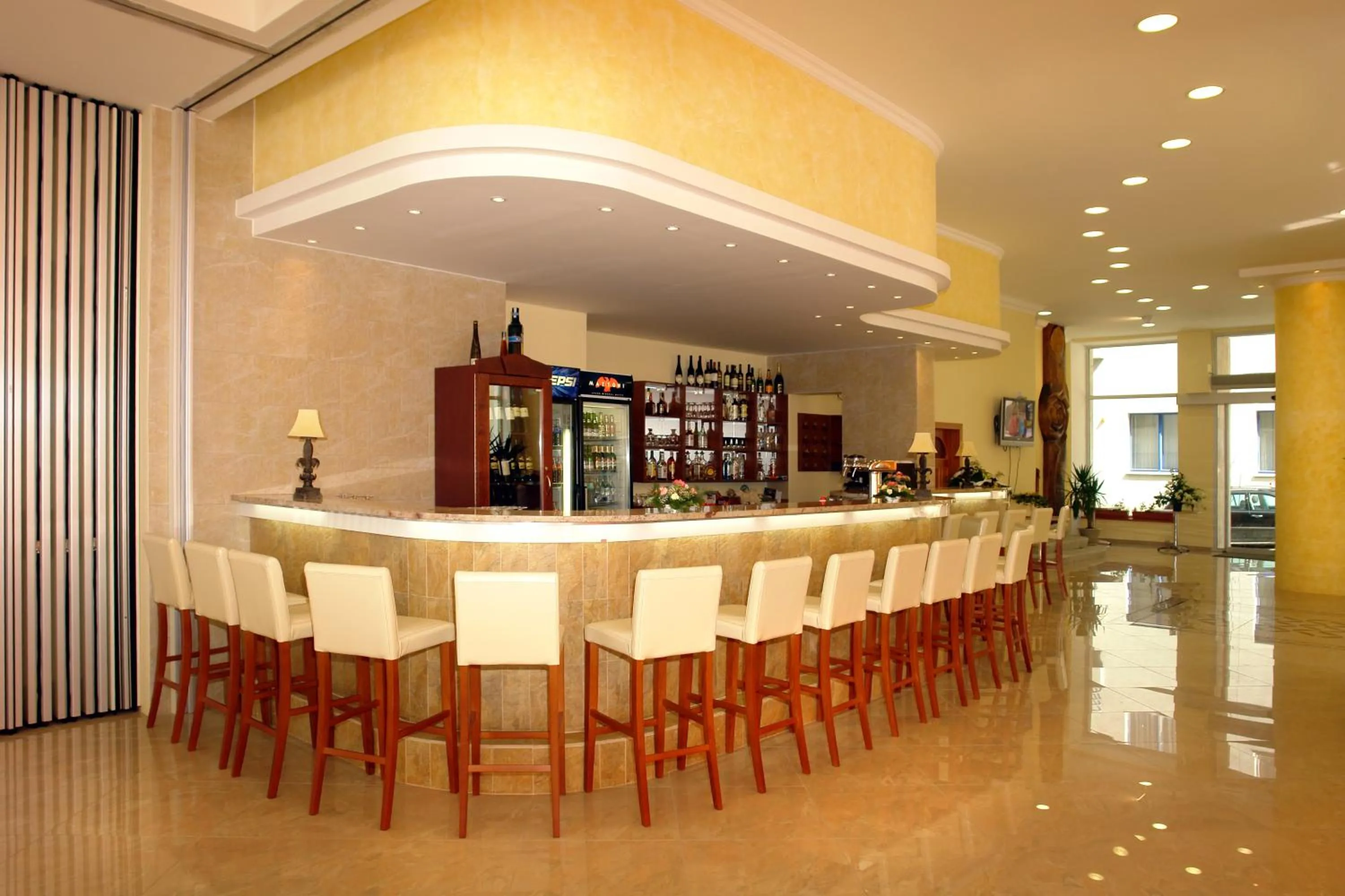 Lounge or bar in Hotel Bila Ruze