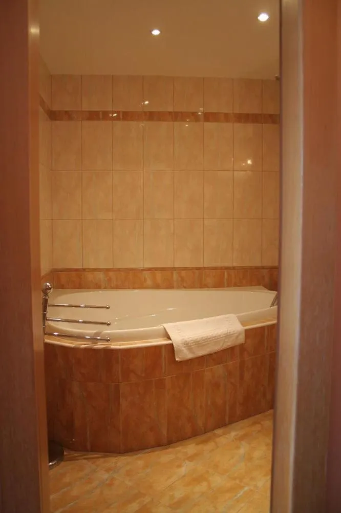 Bathroom in Hotel Bila Ruze