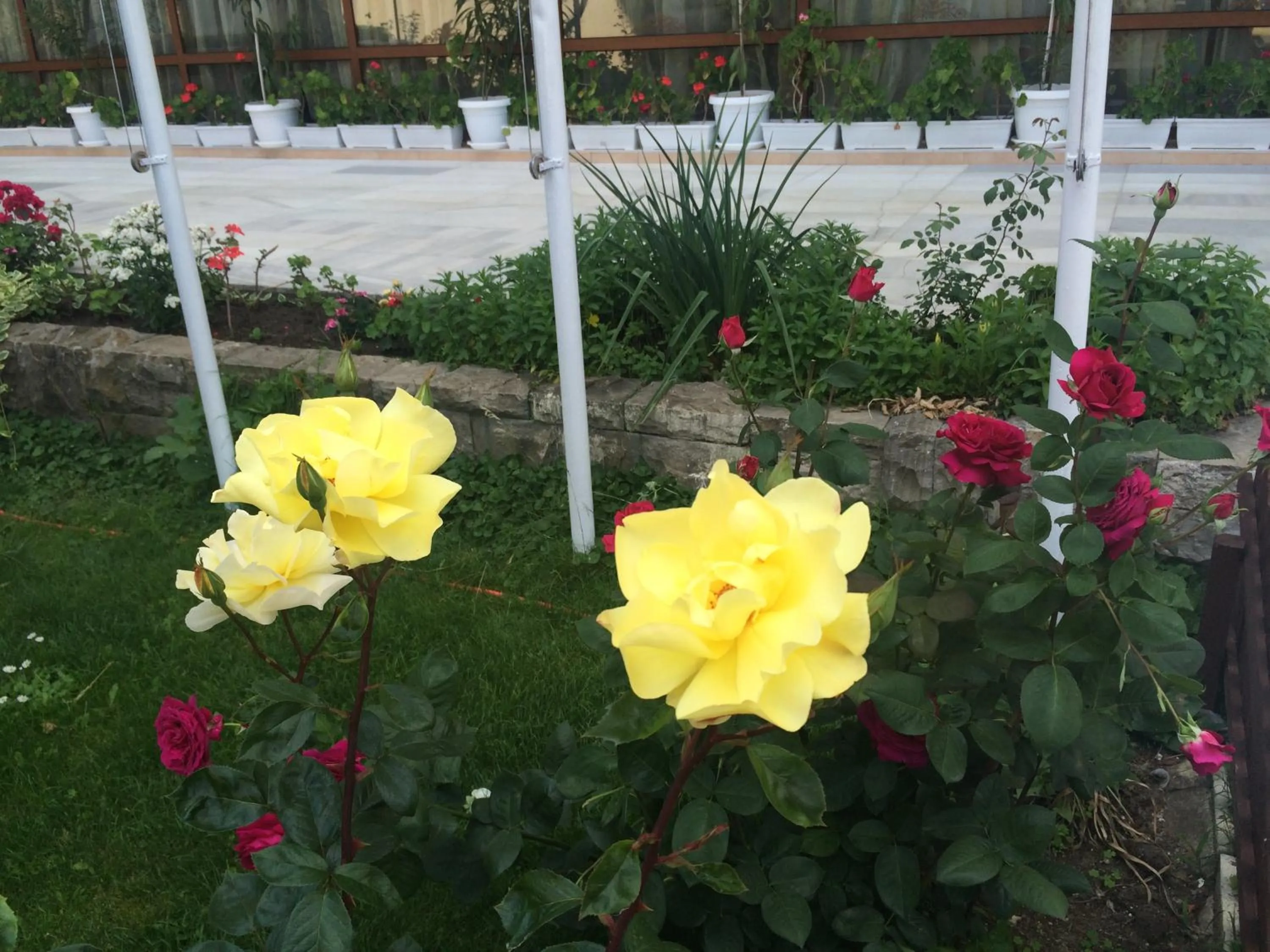 Other in Hotel Olymp