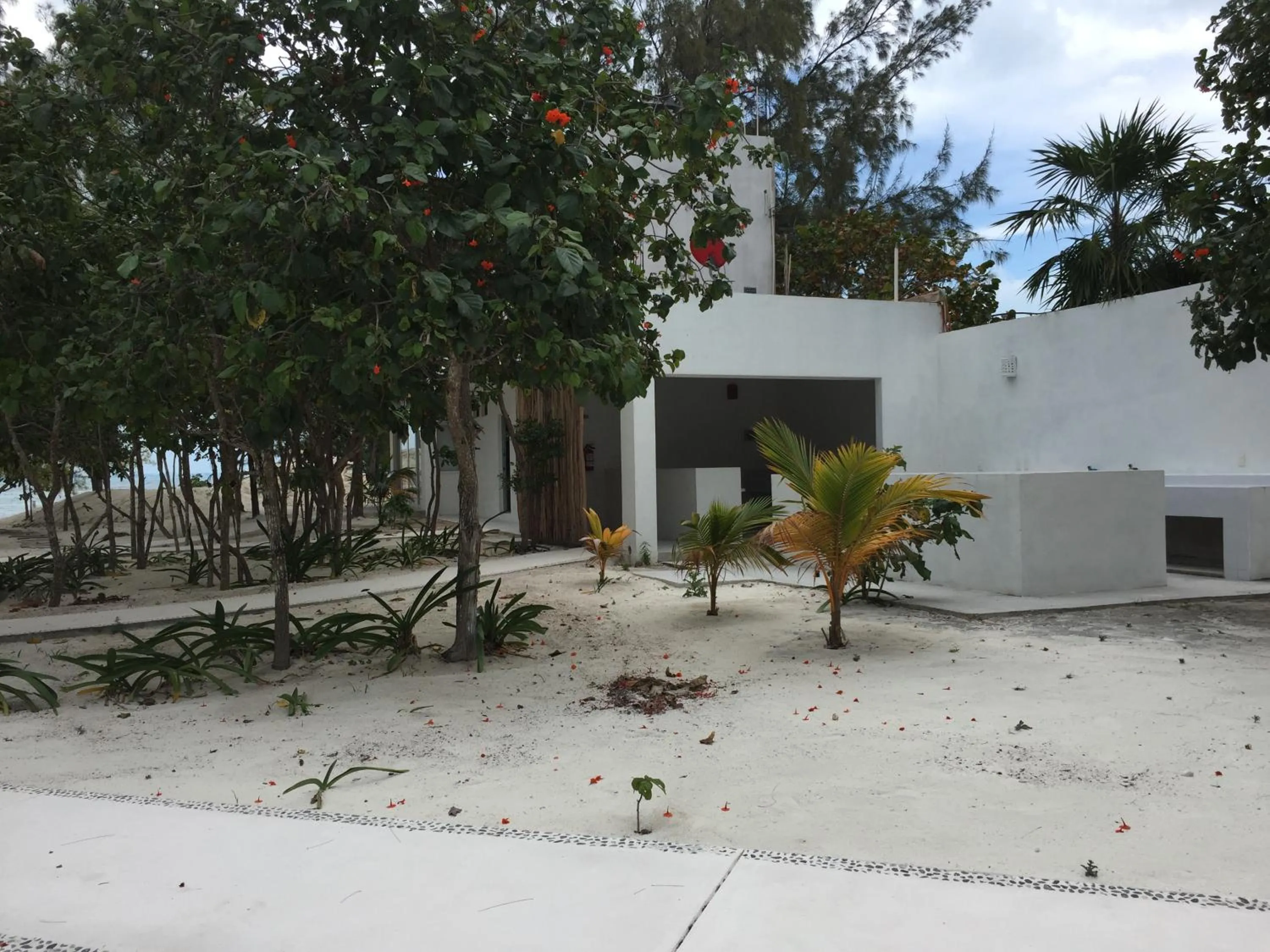 Kitchen or kitchenette in Sea by C Apartments