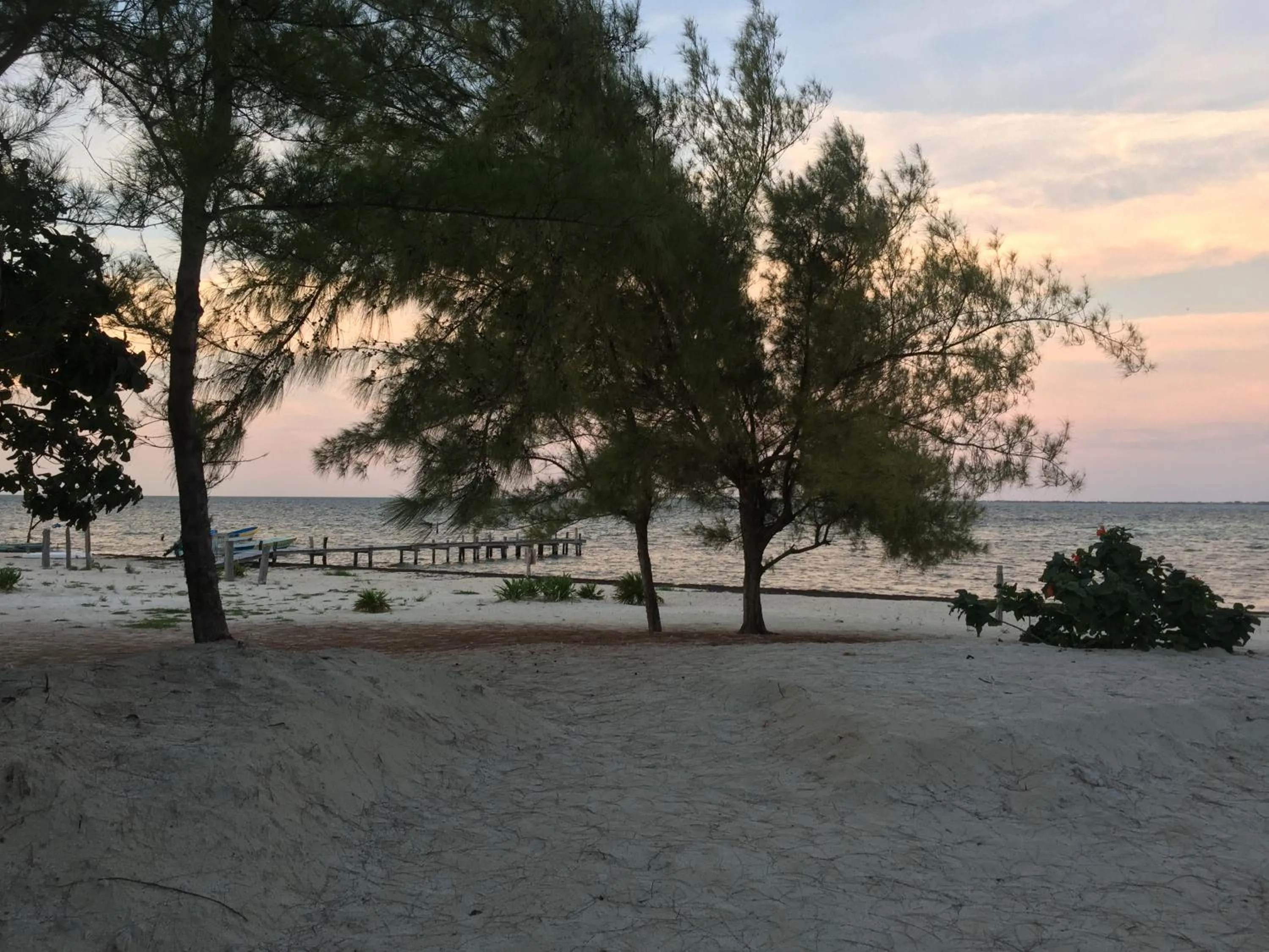 Beach in Sea by C Apartments