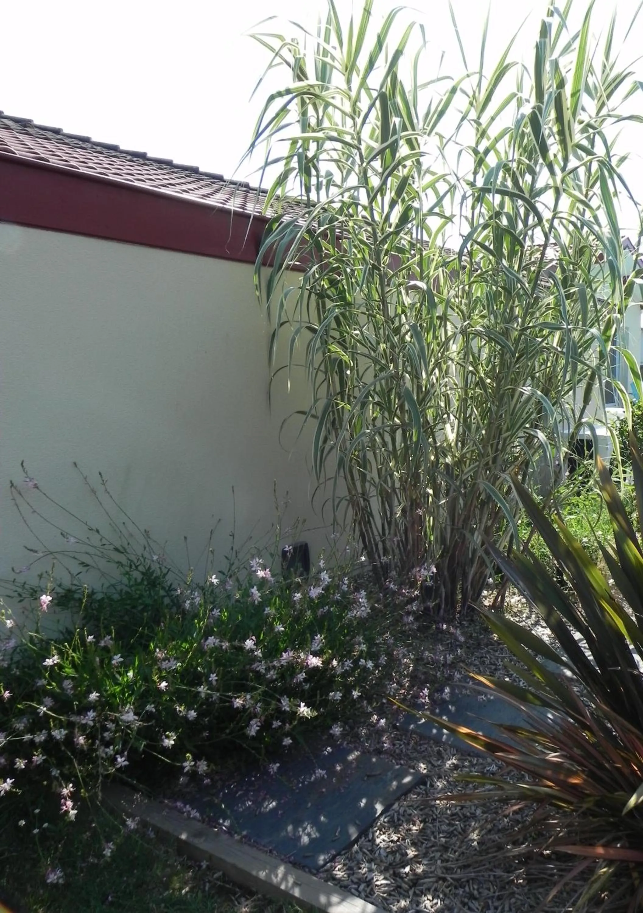 Garden in La clé de vos Rêves