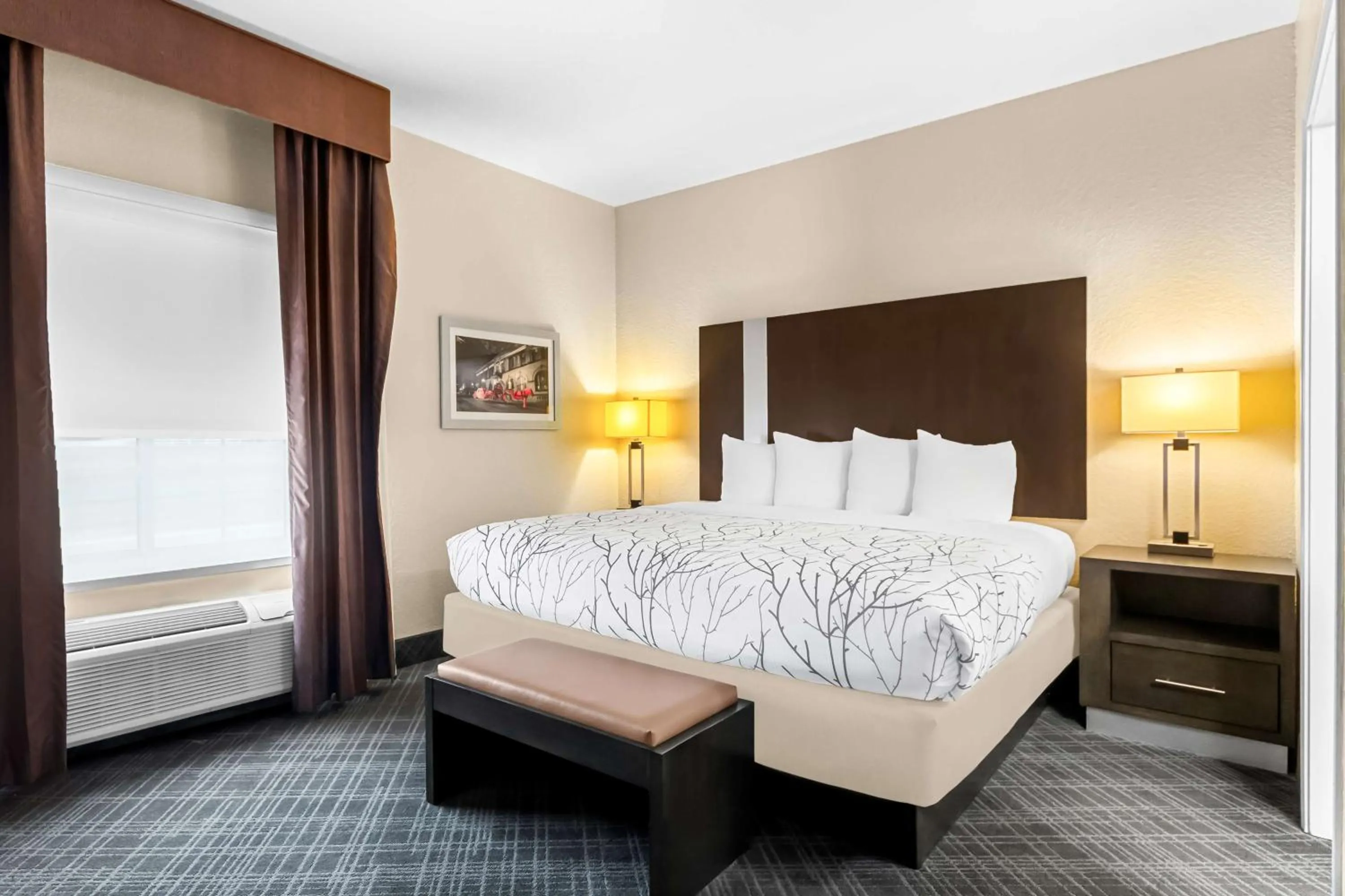 Photo of the whole room, Bed in Best Western Boerne Inn & Suites