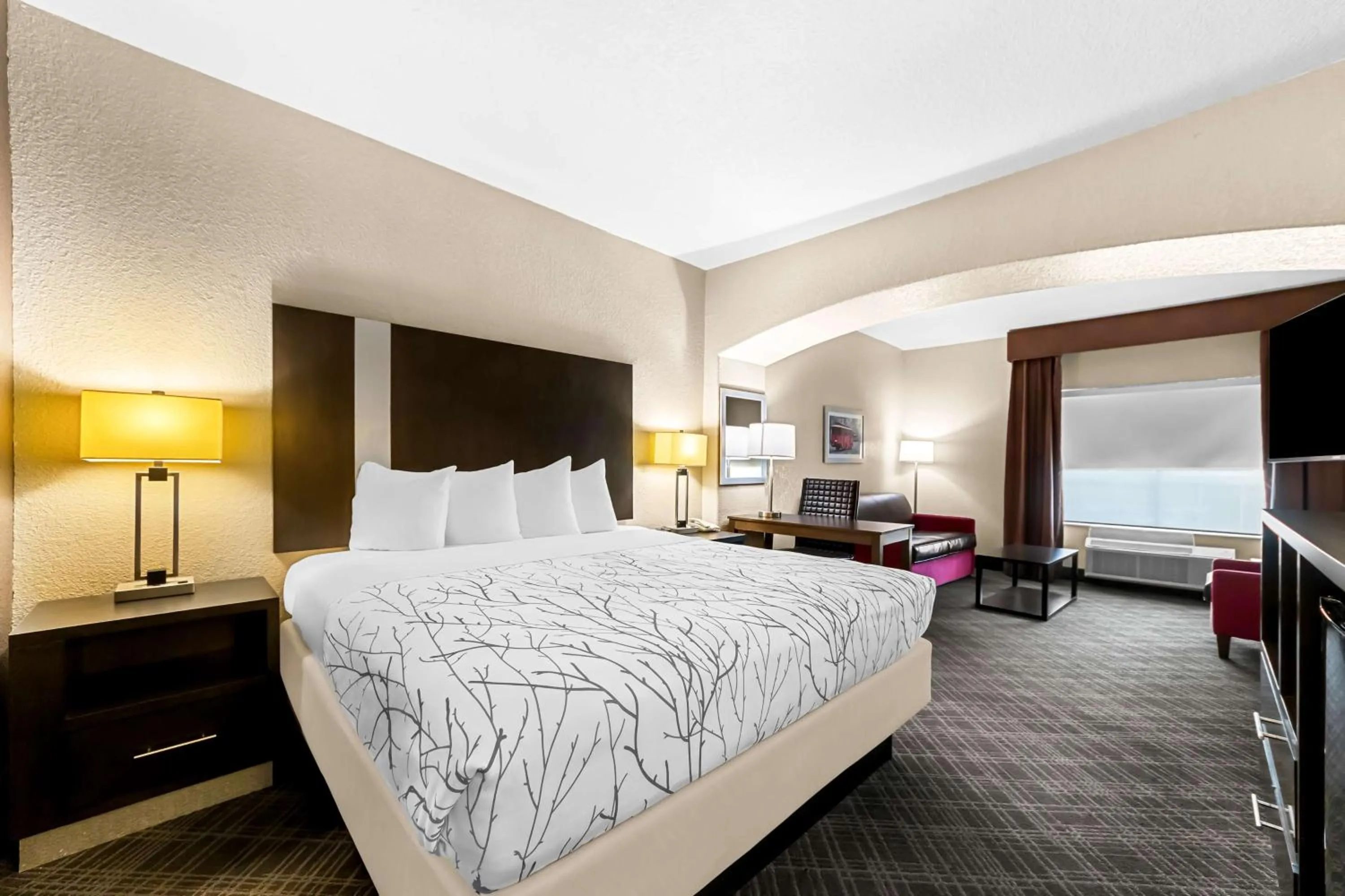 Photo of the whole room, Bed in Best Western Boerne Inn & Suites