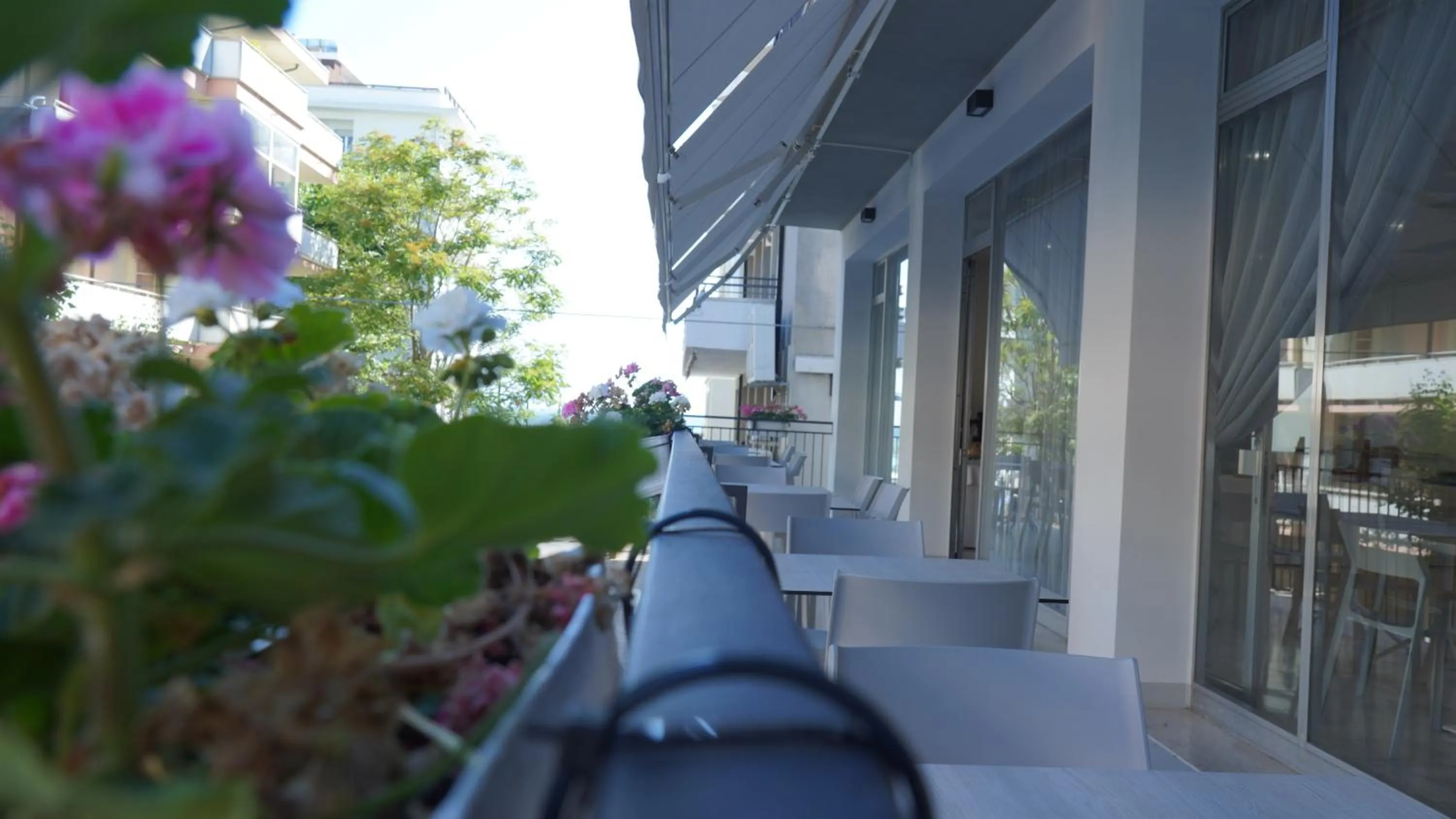 Restaurant/places to eat in Lively Hotel