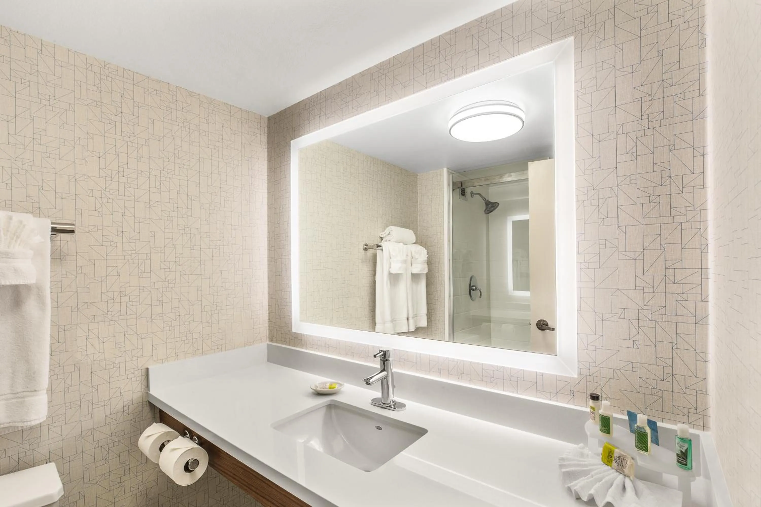 Bathroom in Holiday Inn Express & Suites Tacoma by IHG