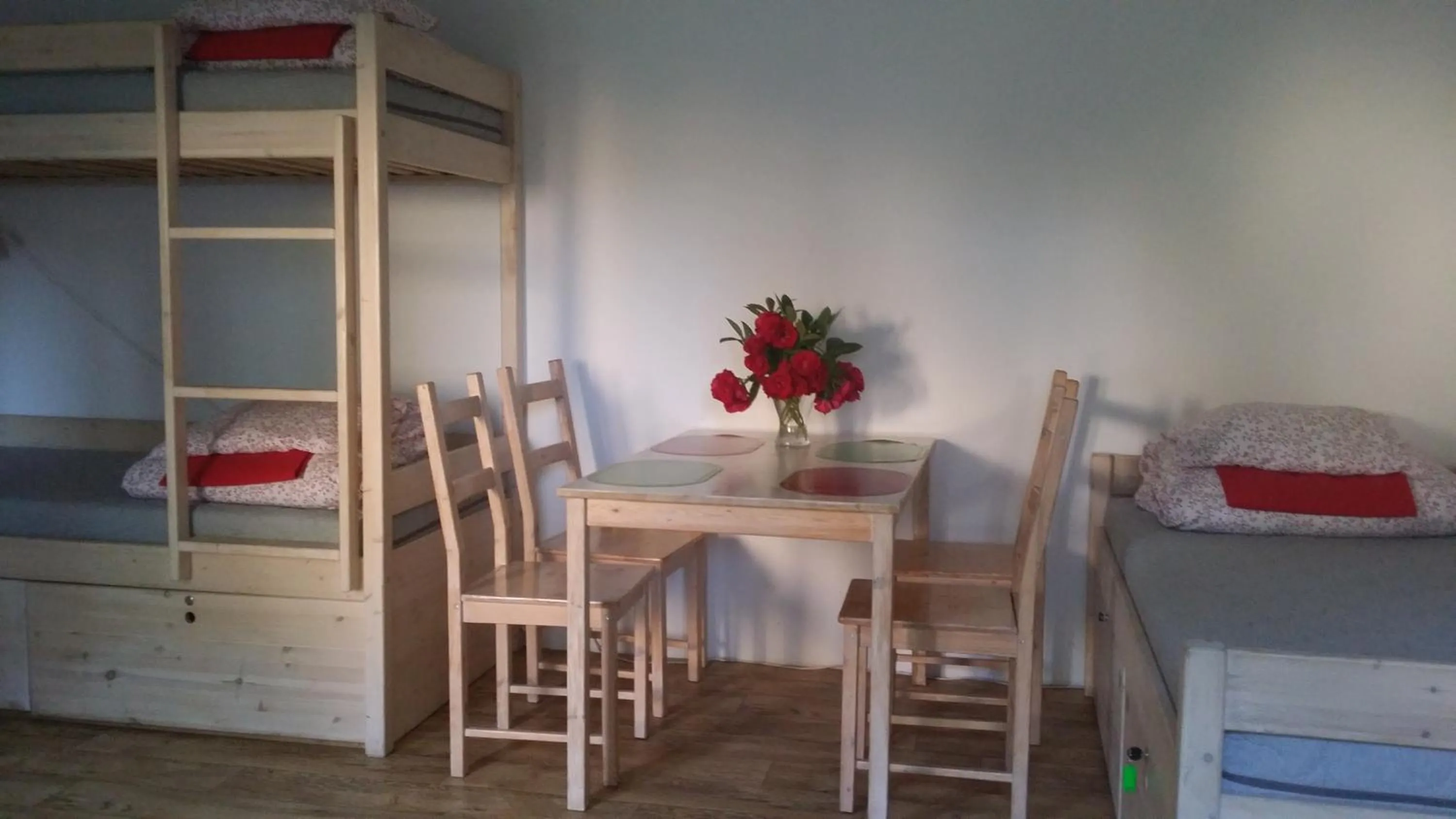 Photo of the whole room in Hostelino