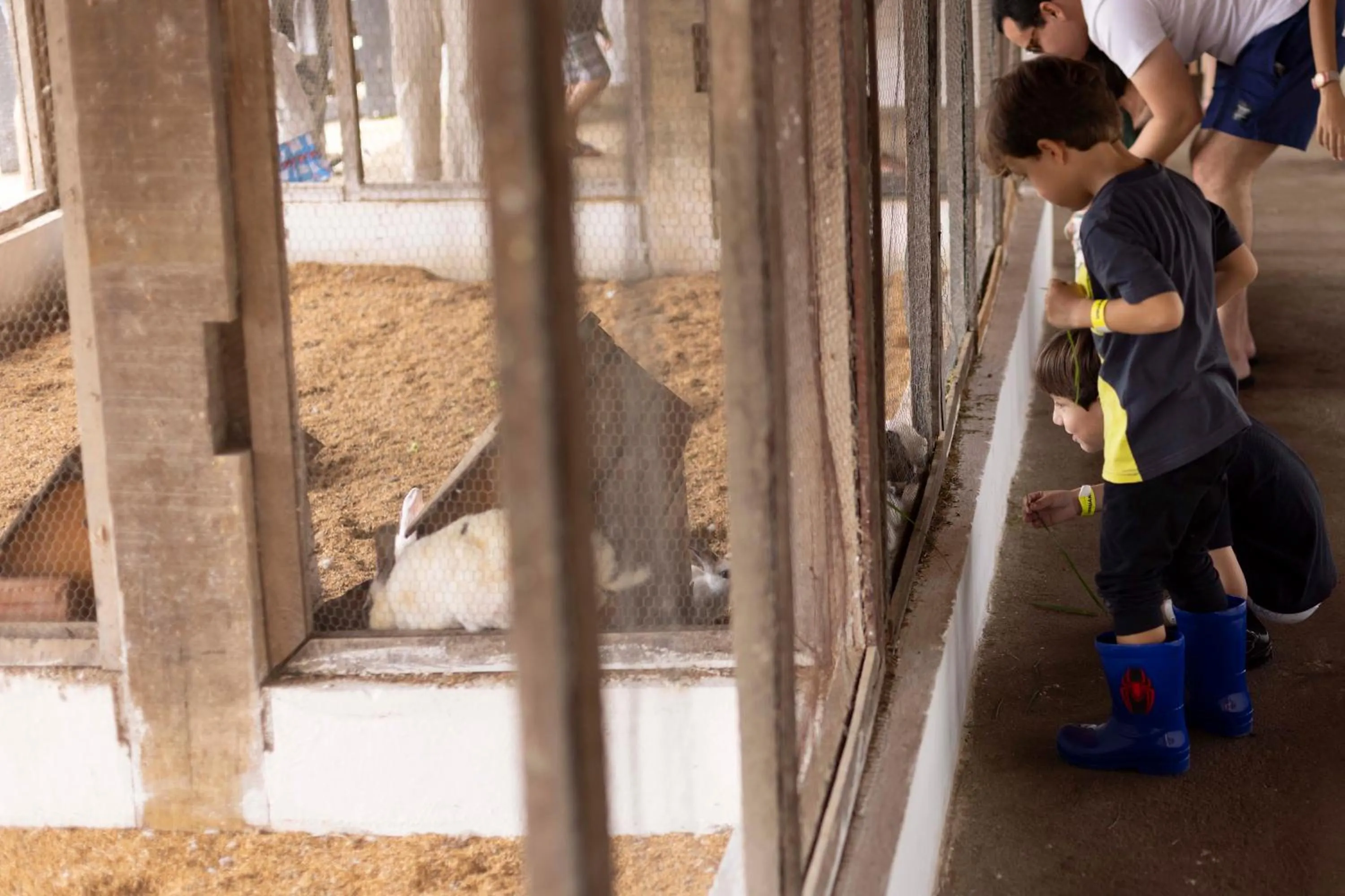 Hotel Fazenda Monte Castelo