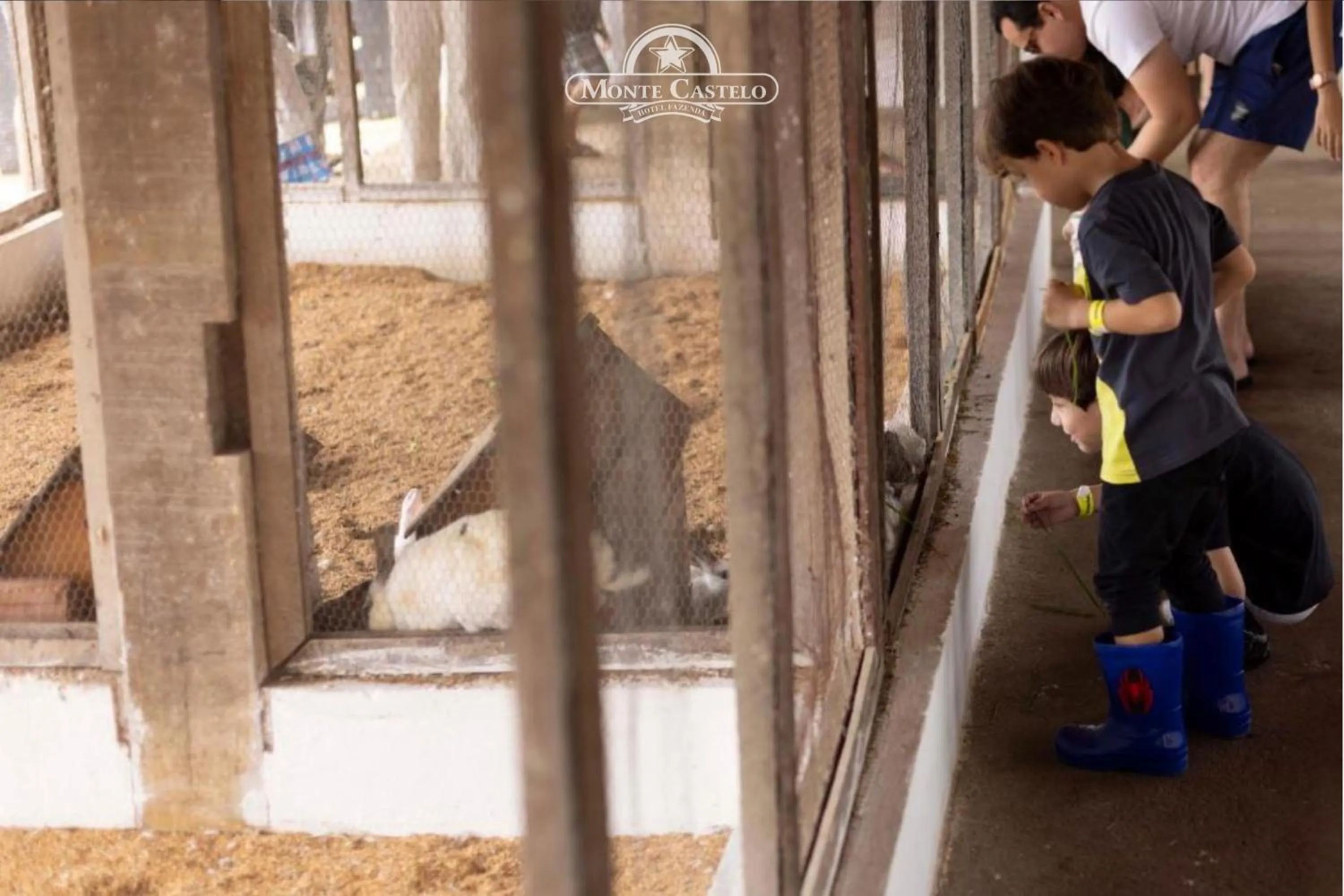 Hotel Fazenda Monte Castelo