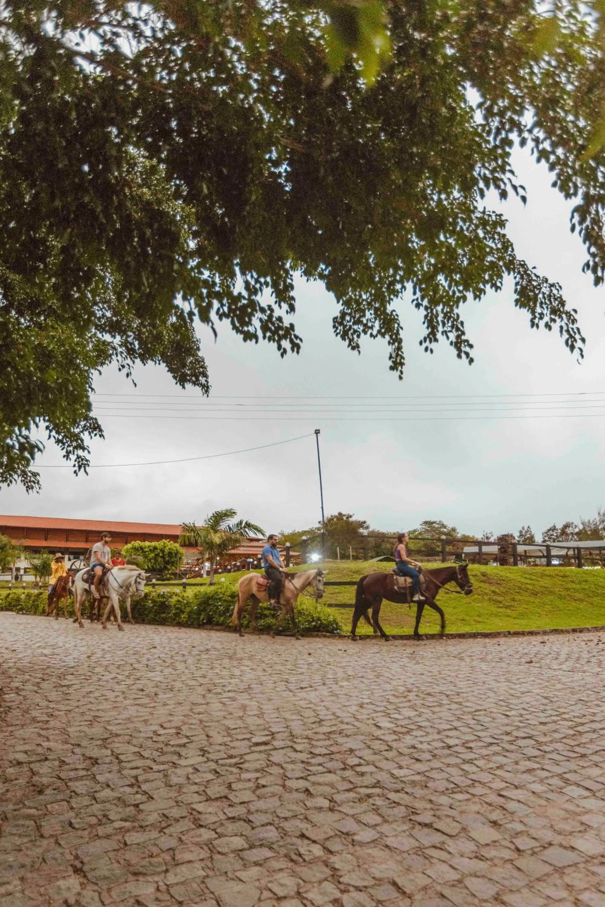 Hotel Fazenda Monte Castelo