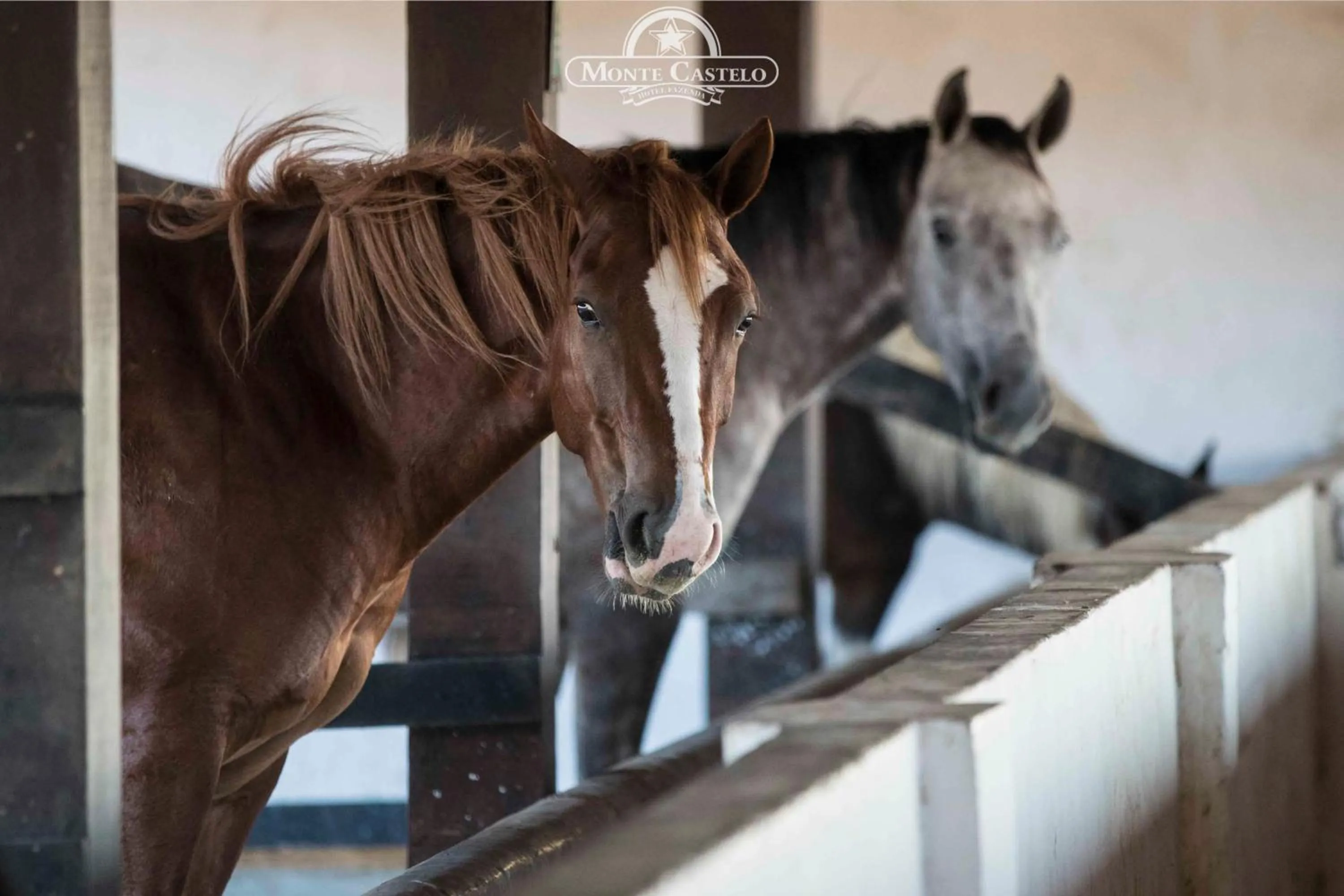 Hotel Fazenda Monte Castelo