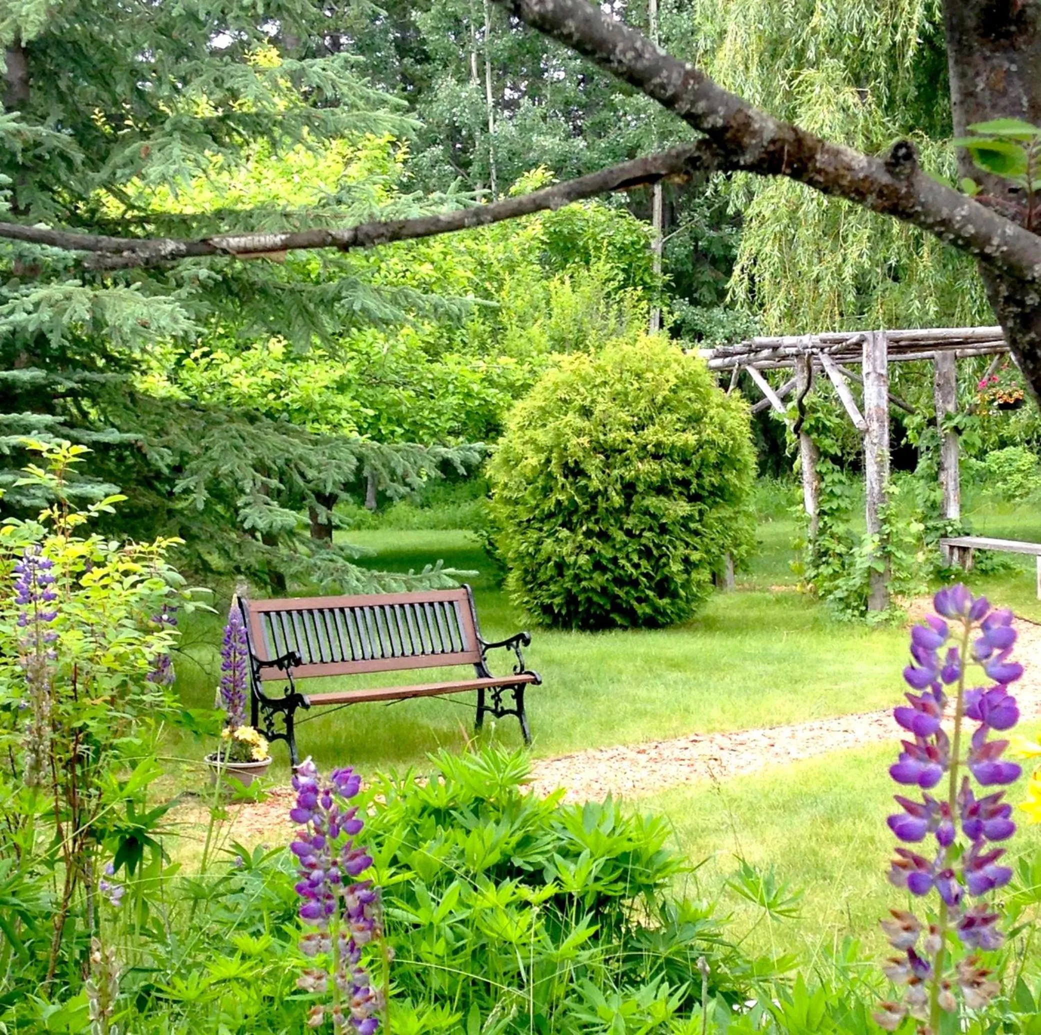 Spring in Whitewater Lodge