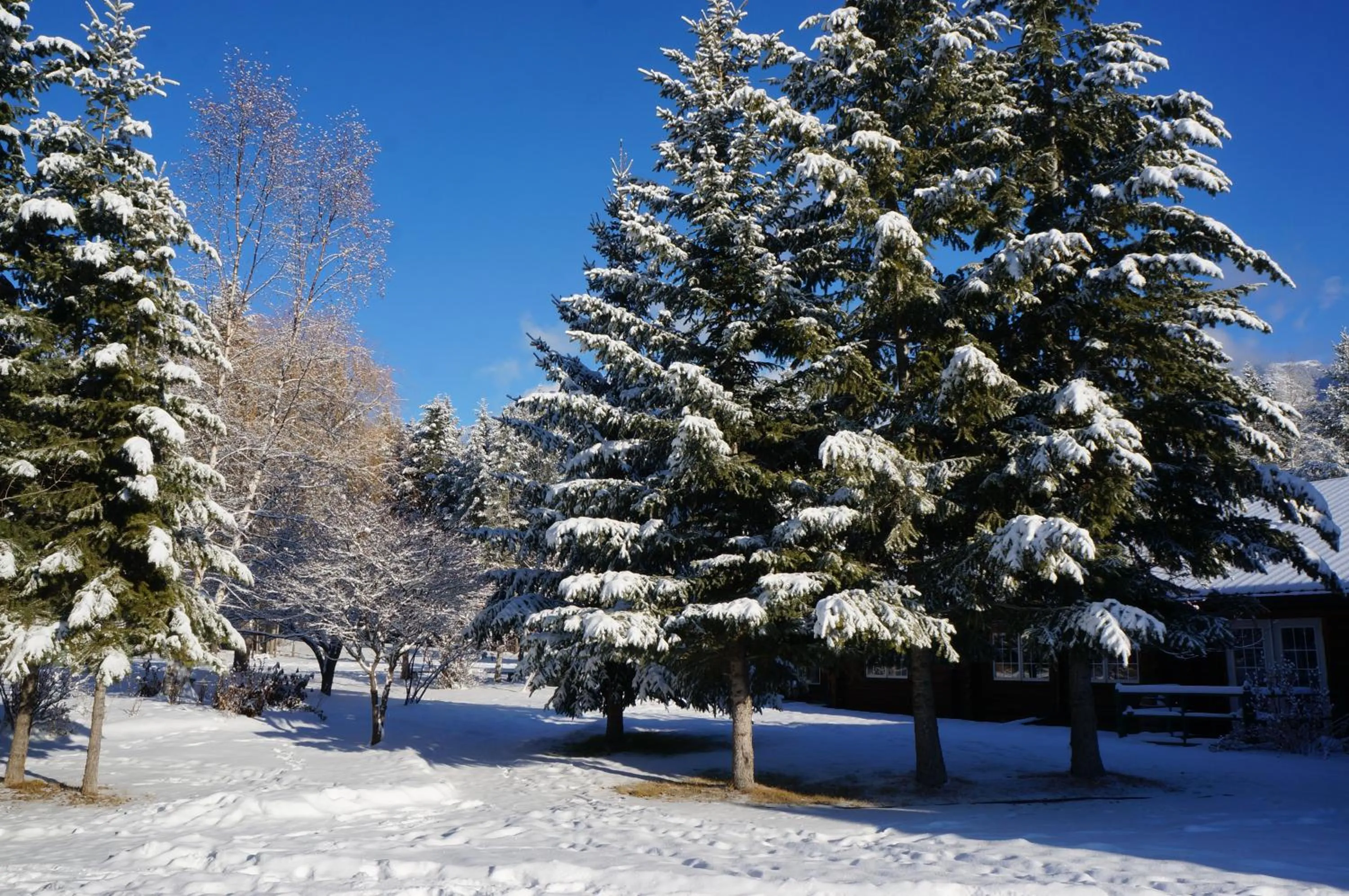 Property building in Whitewater Lodge