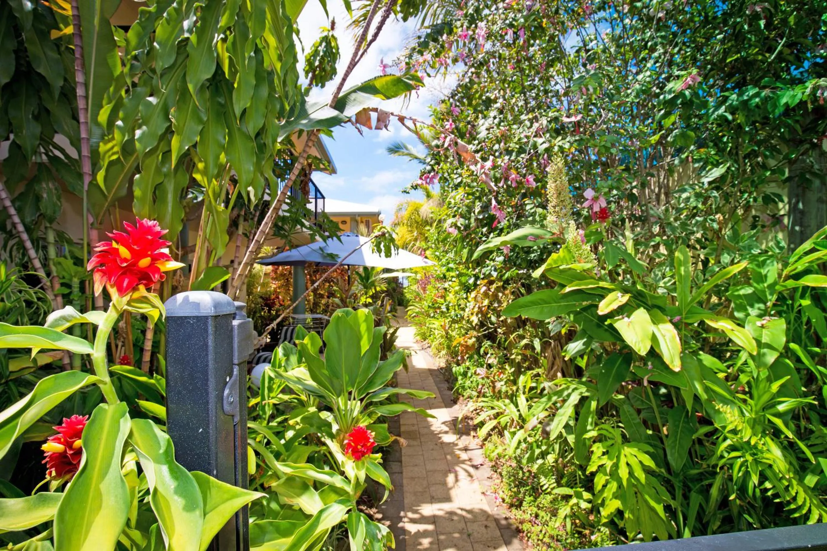 Garden in Mission Reef Resort