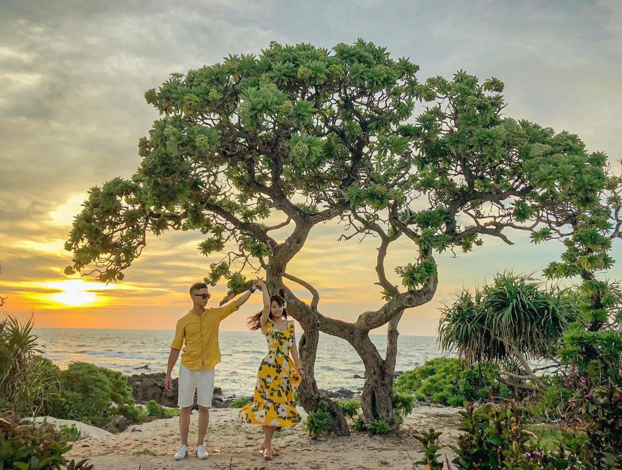 Location in Khách Sạn Thiên Trí Lý Sơn