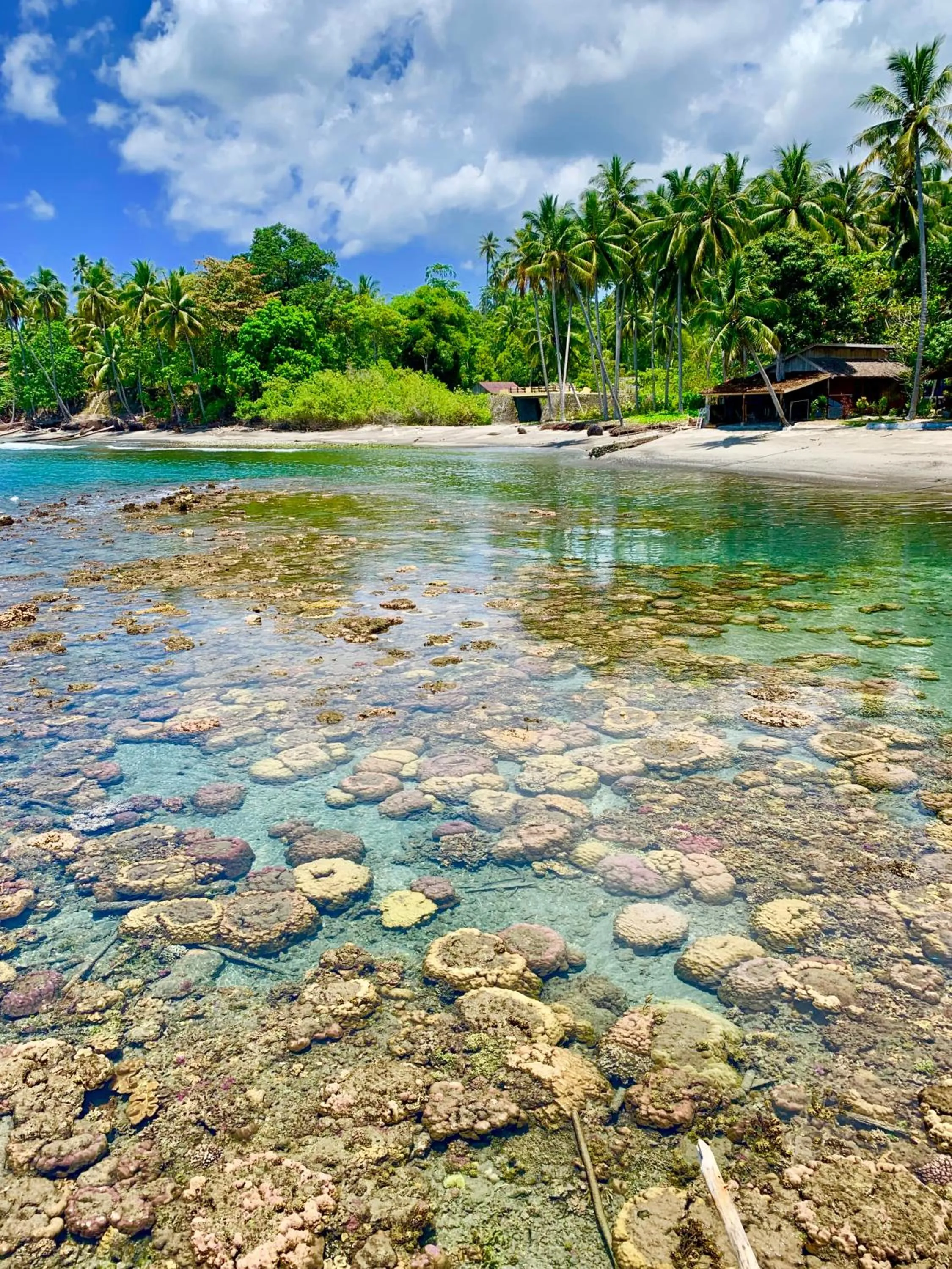 Beach in Pristine Paradise Dive Resort - Togean Islands, Una Una